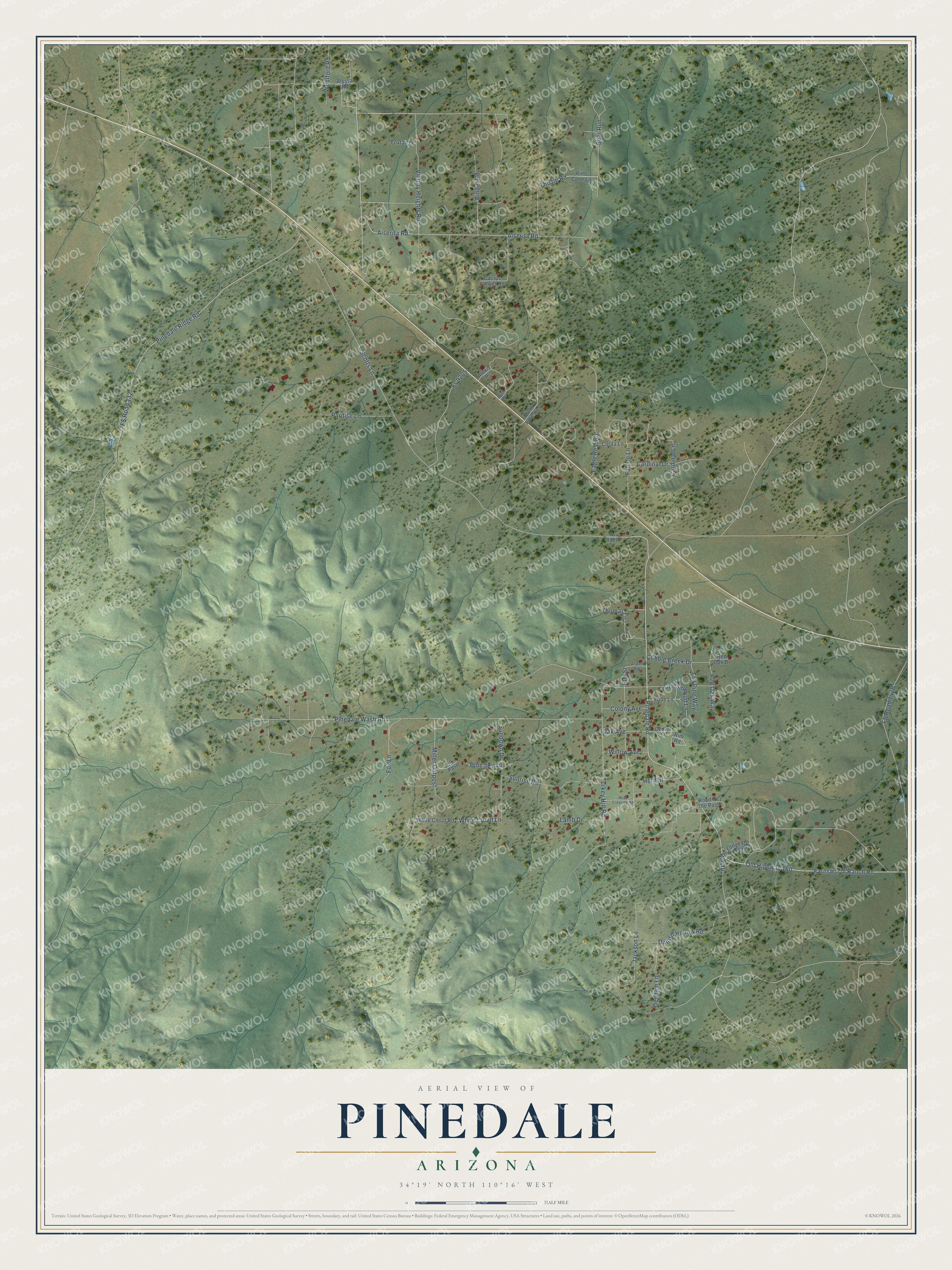 Full map of Pinedale, Arizona, with red buildings, printed street names and the land around them