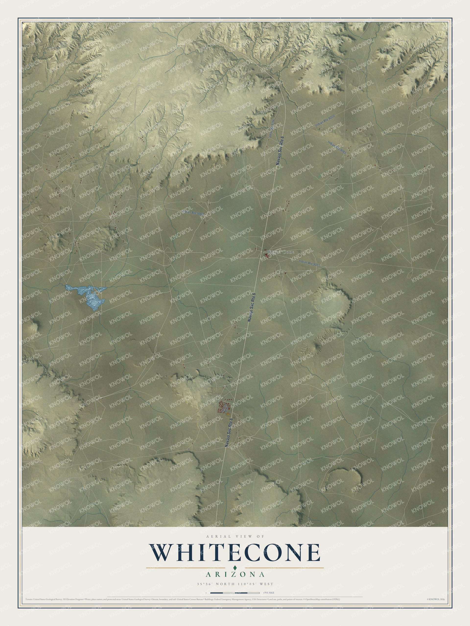 Full map of Whitecone, Arizona, with red buildings, printed street names and the land around them