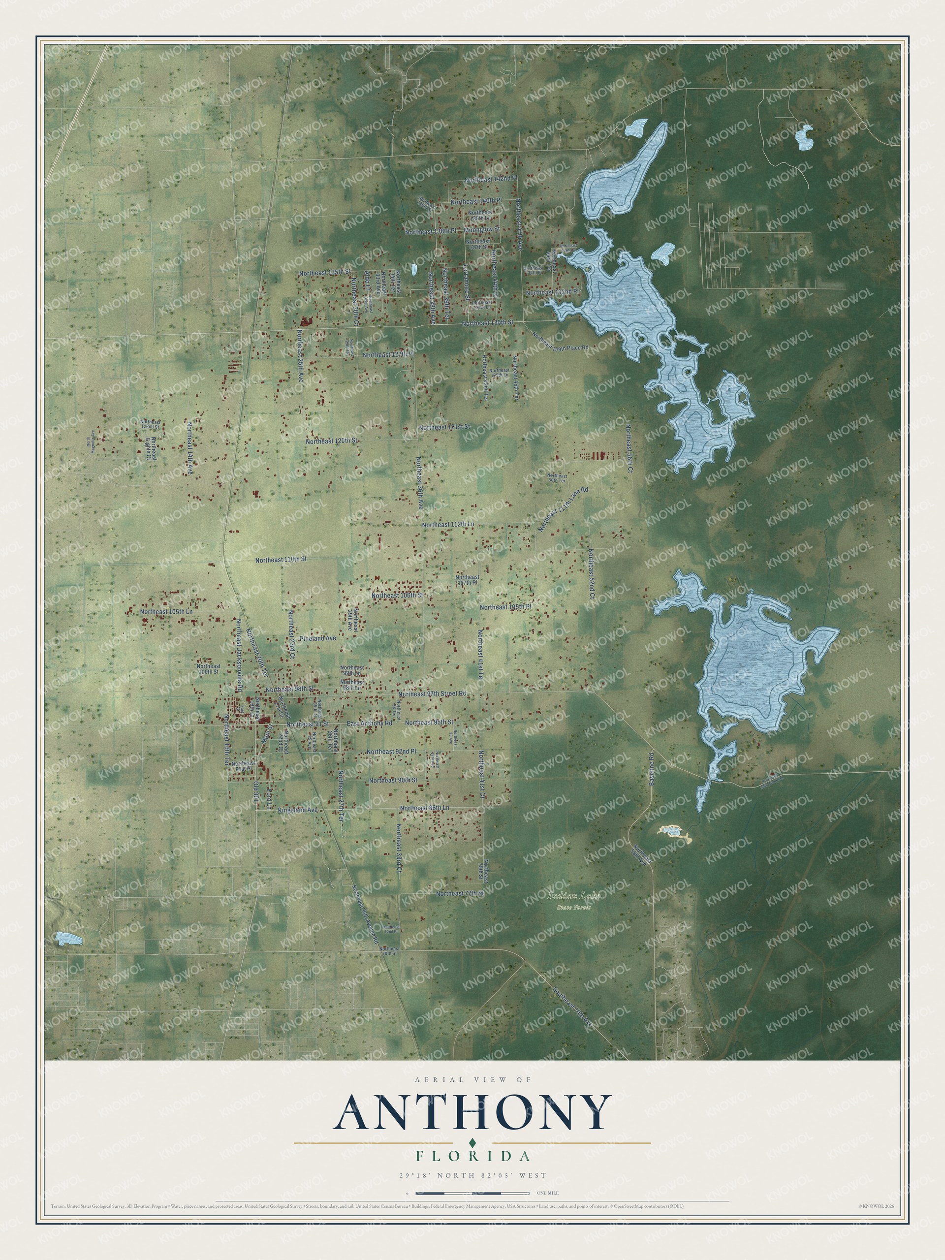 Full map of Anthony, Florida, with red buildings, printed street names and the land around them