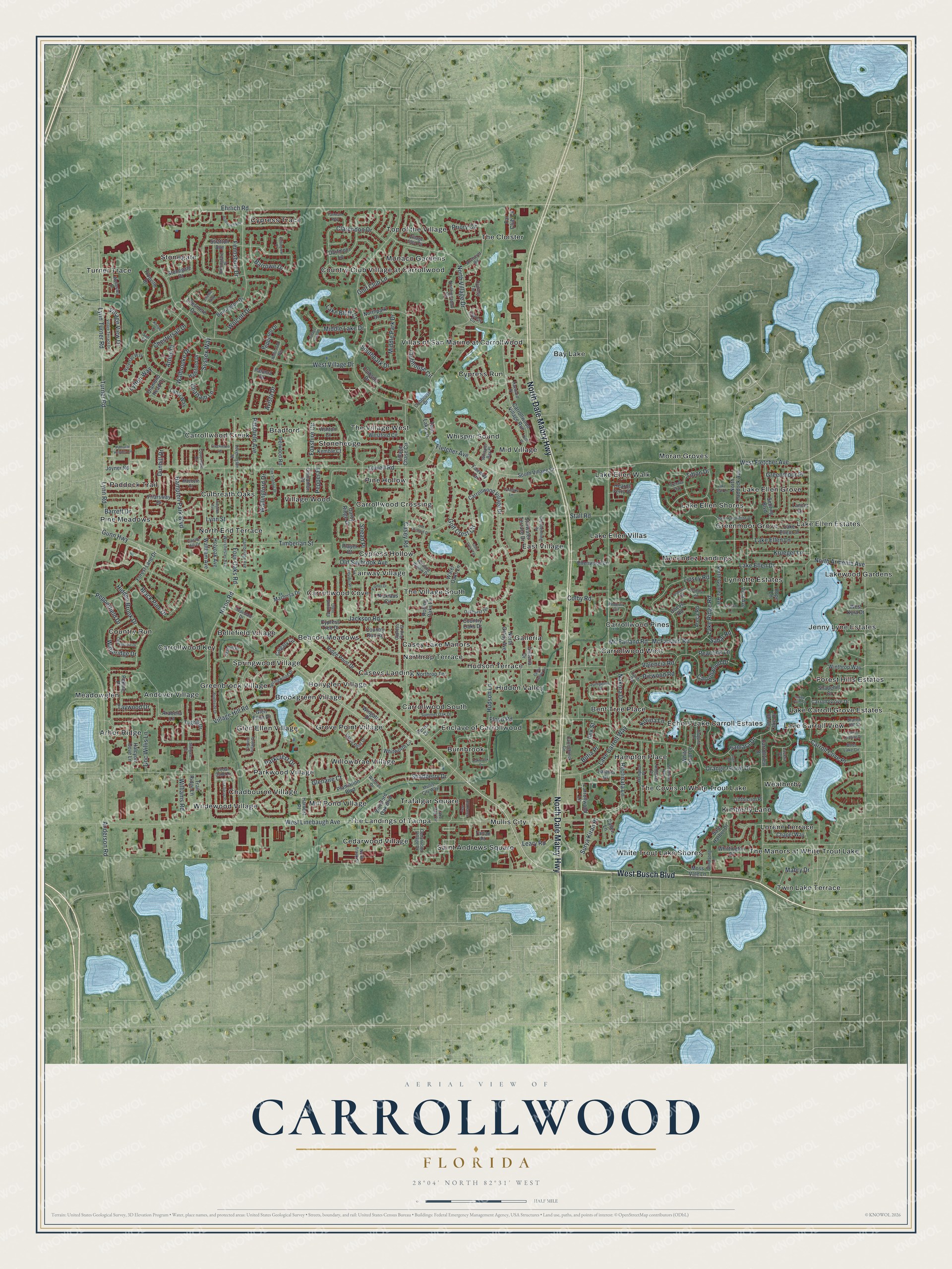 Full map of Carrollwood, Florida, with red buildings, printed street names and the land around them