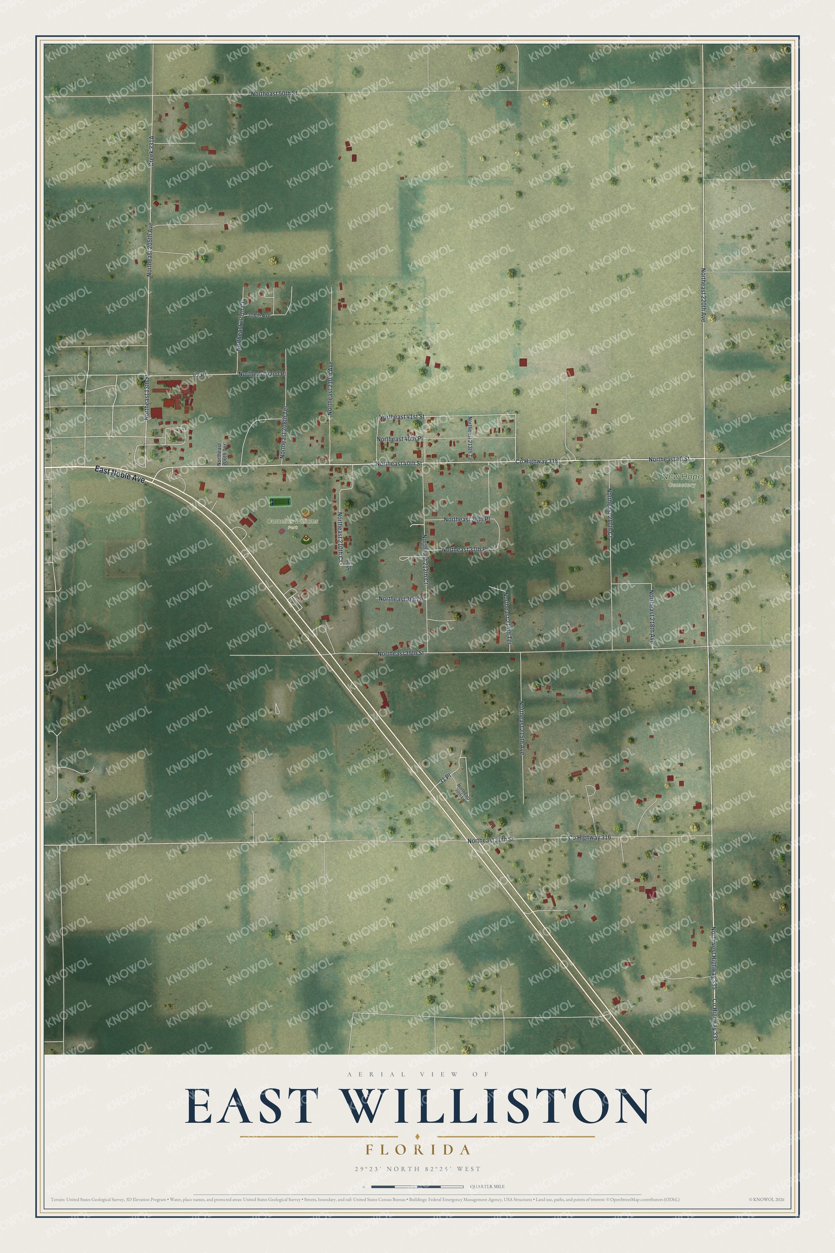 Full map of East Williston, Florida, with red buildings, printed street names and the land around them