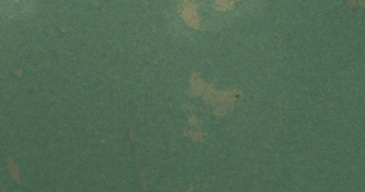 Close-up of streets and buildings in Everglades, Florida