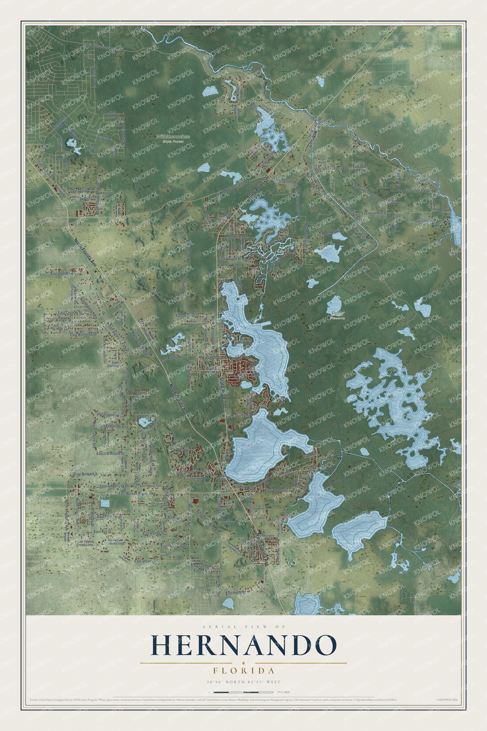 Full map of Hernando, Florida, with red buildings, printed street names and the land around them