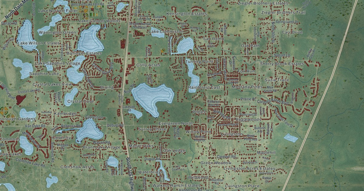Map of Lutz, Florida in 2026