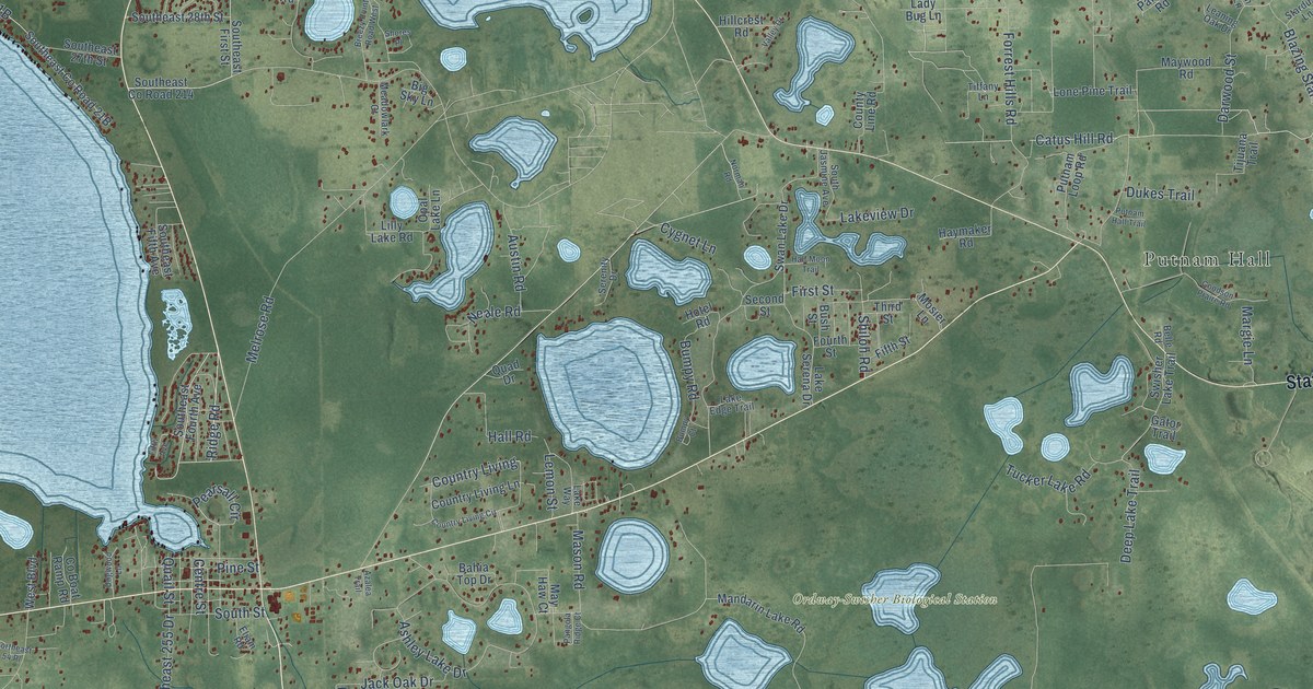 Detailed Map of Melrose, Florida