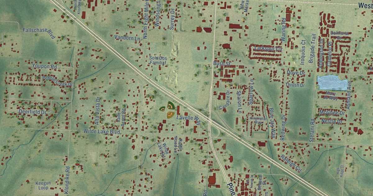 Close-up of streets and buildings in Pine Forest, Florida