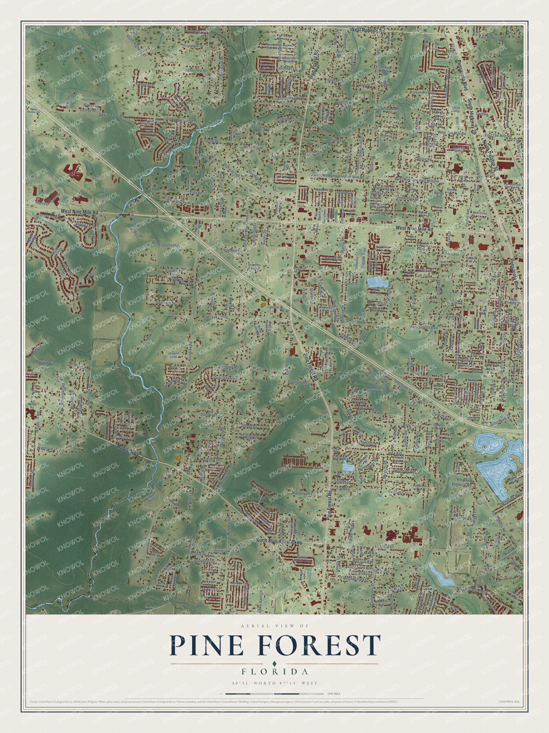 Full map of Pine Forest, Florida, with red buildings, printed street names and the land around them