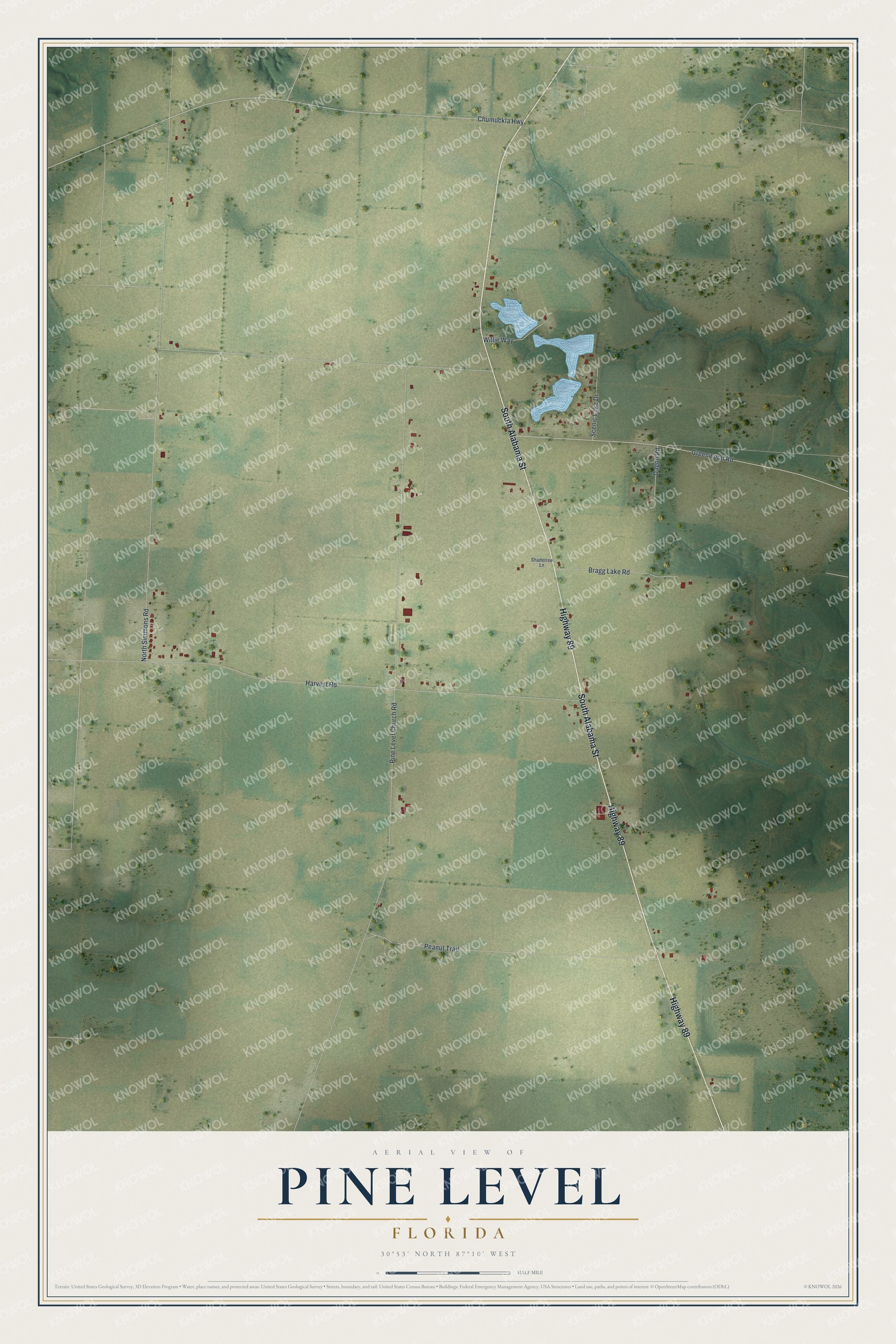 Watermarked full-map preview of Pine Level, Florida
