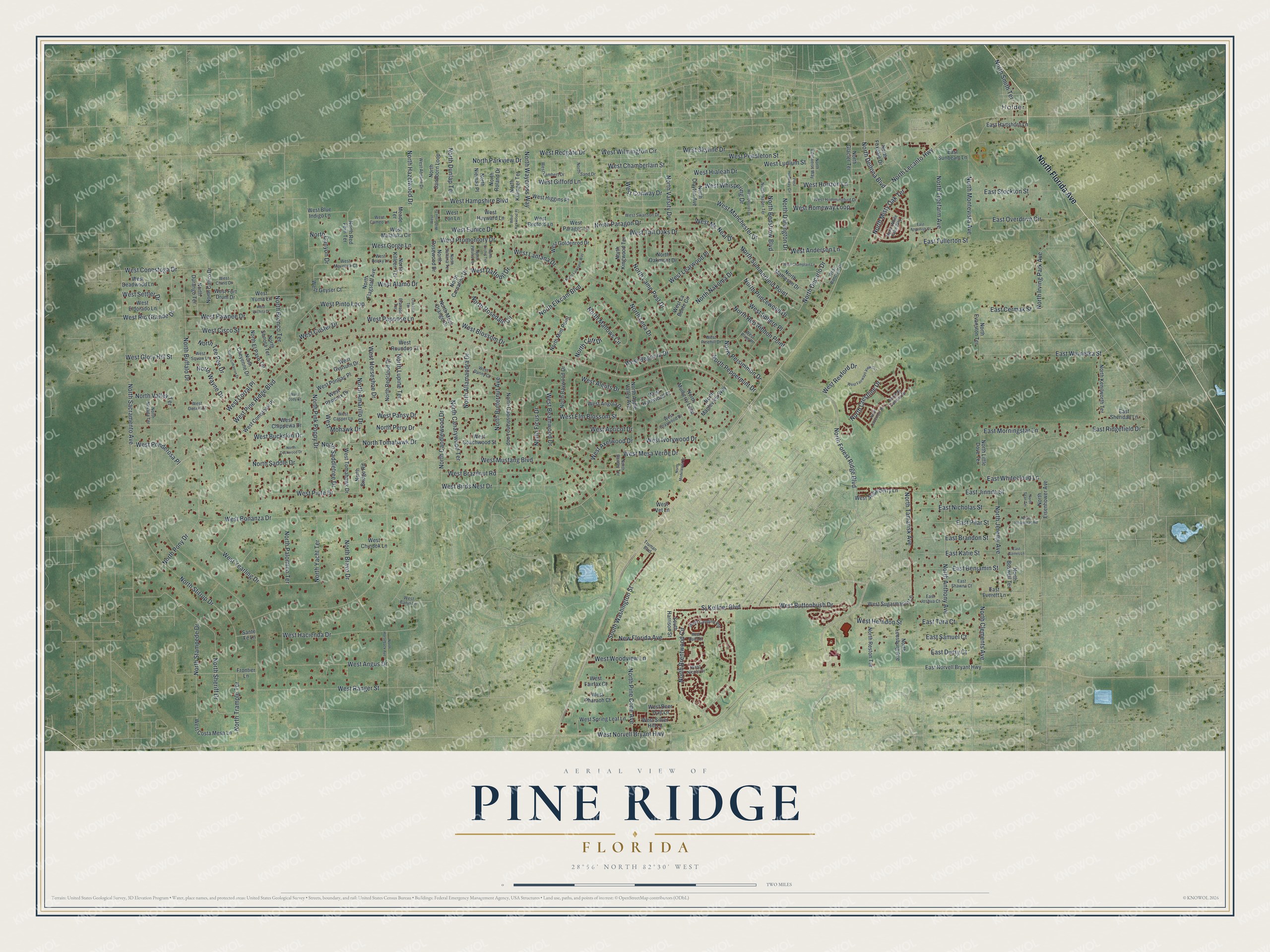 Full map of Pine Ridge, Florida, with red buildings, printed street names and the land around them
