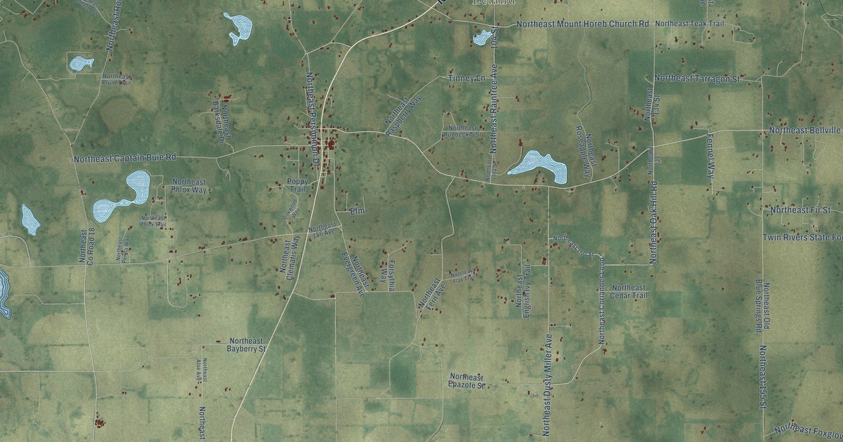 Close-up of streets and buildings in Pinetta, Florida