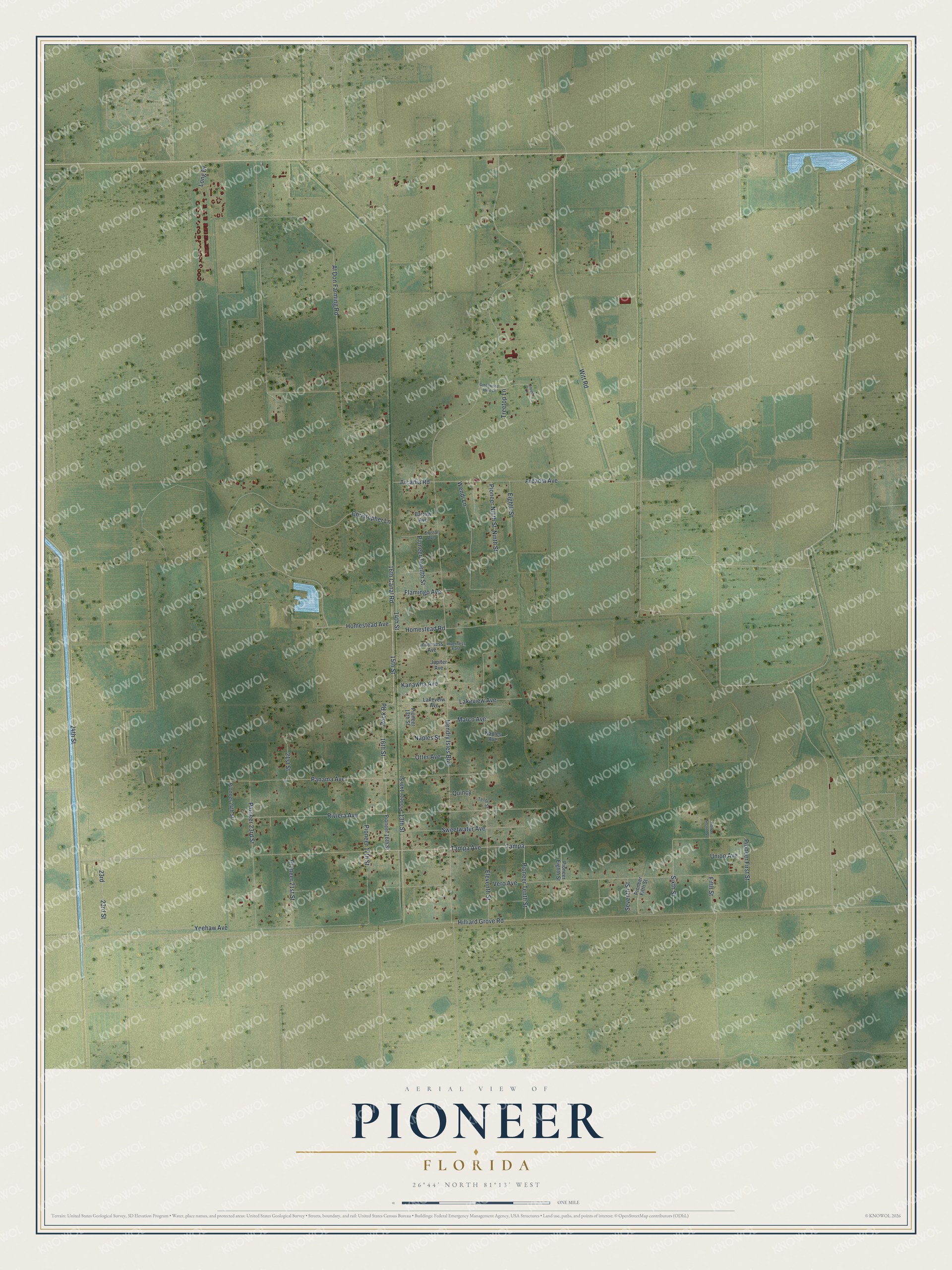 Full map of Pioneer, Florida, with red buildings, printed street names and the land around them