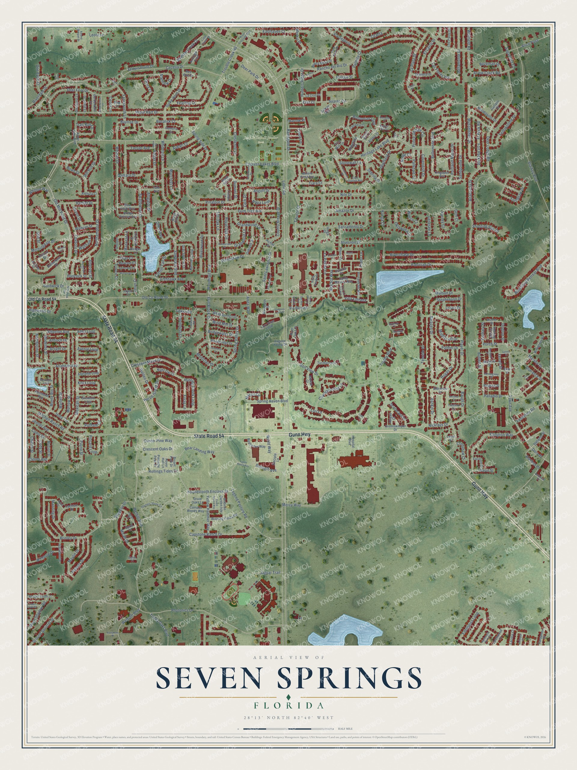 Full map of Seven Springs, Florida, with red buildings, printed street names and the land around them