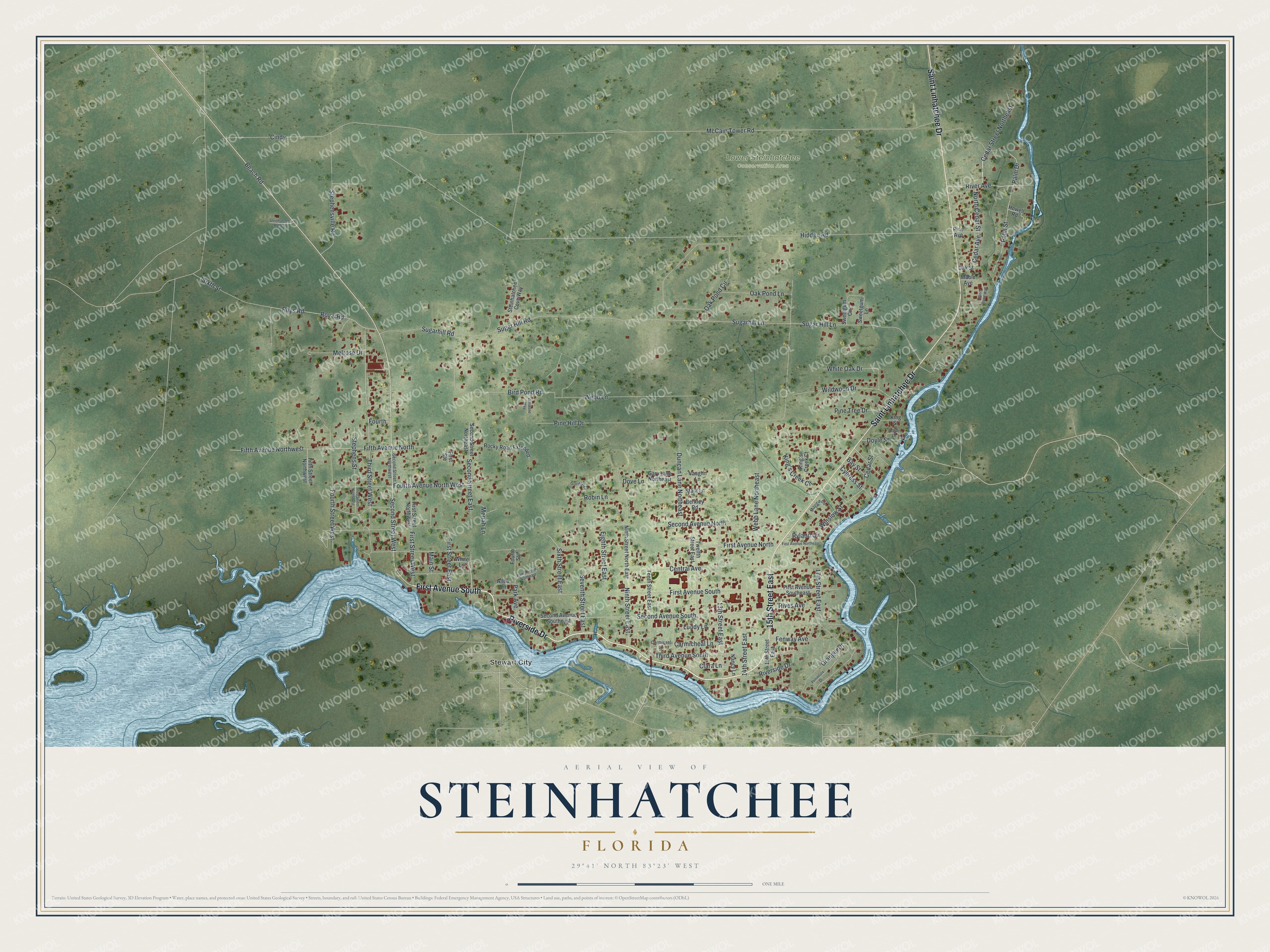 Full map of Steinhatchee, Florida, with red buildings, printed street names and the land around them