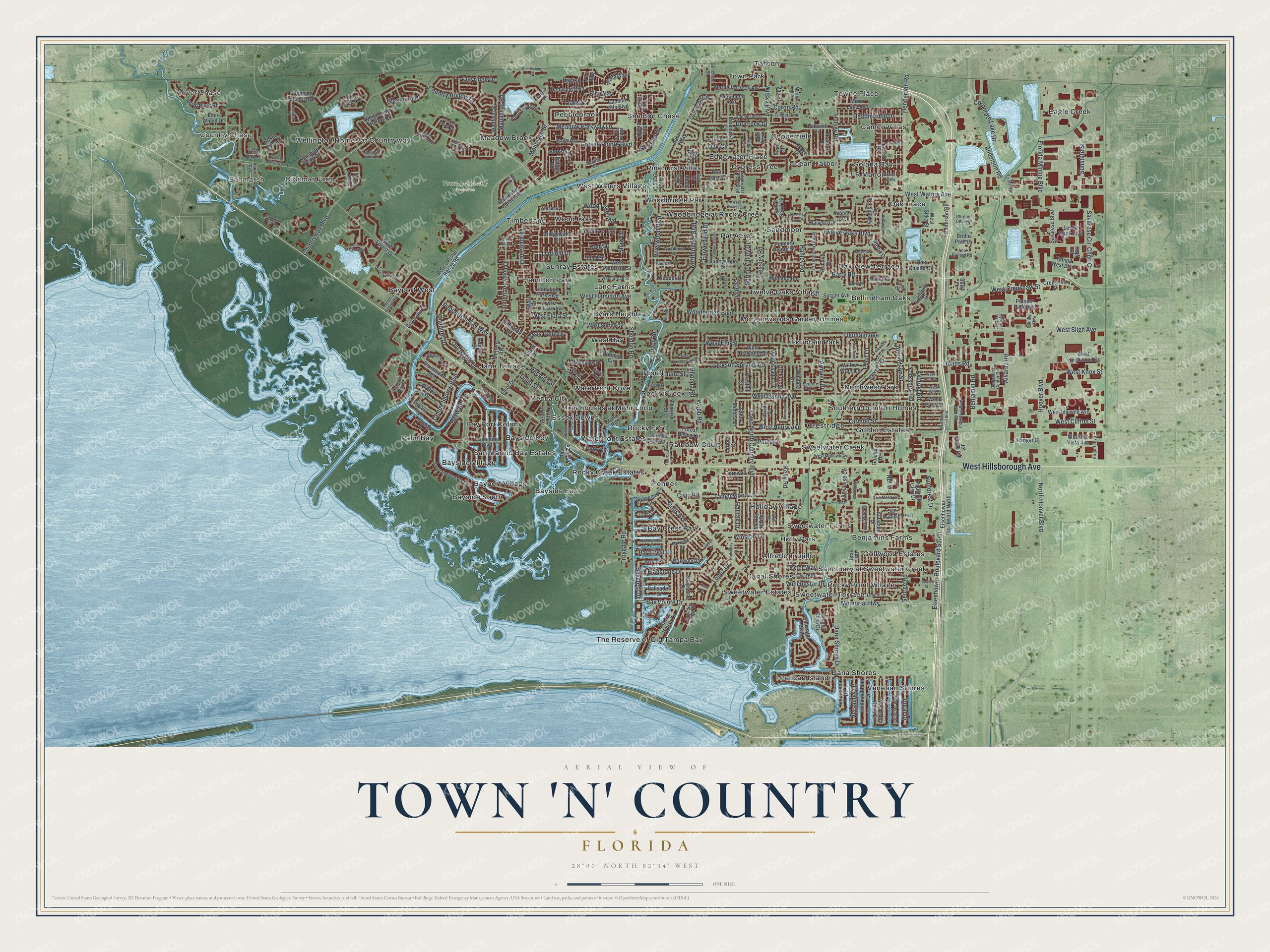 Full map of Town 'n' Country, Florida, with red buildings, printed street names and the land around them