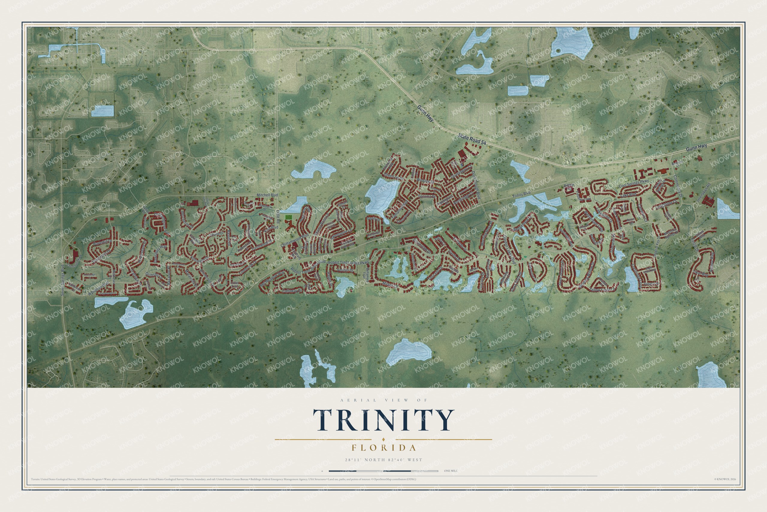 Full map of Trinity, Florida, with red buildings, printed street names and the land around them