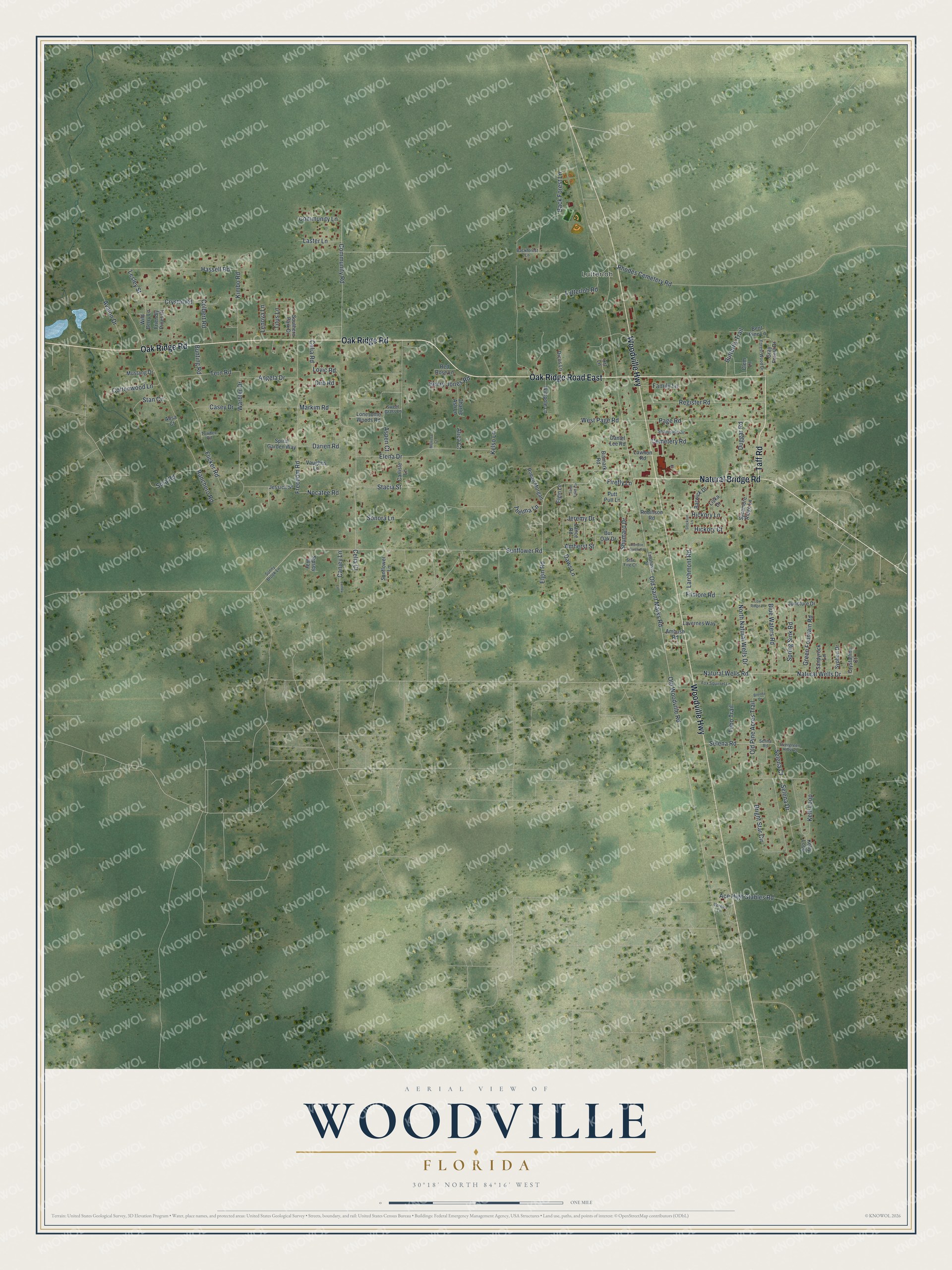 Full map of Woodville, Florida, with red buildings, printed street names and the land around them