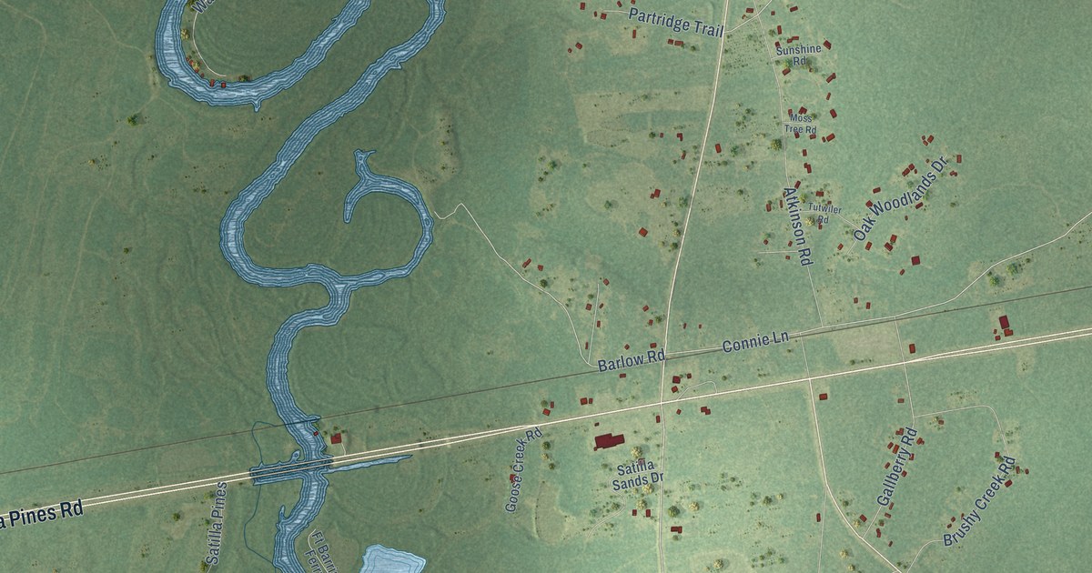 Close-up of streets and buildings in Atkinson, Georgia