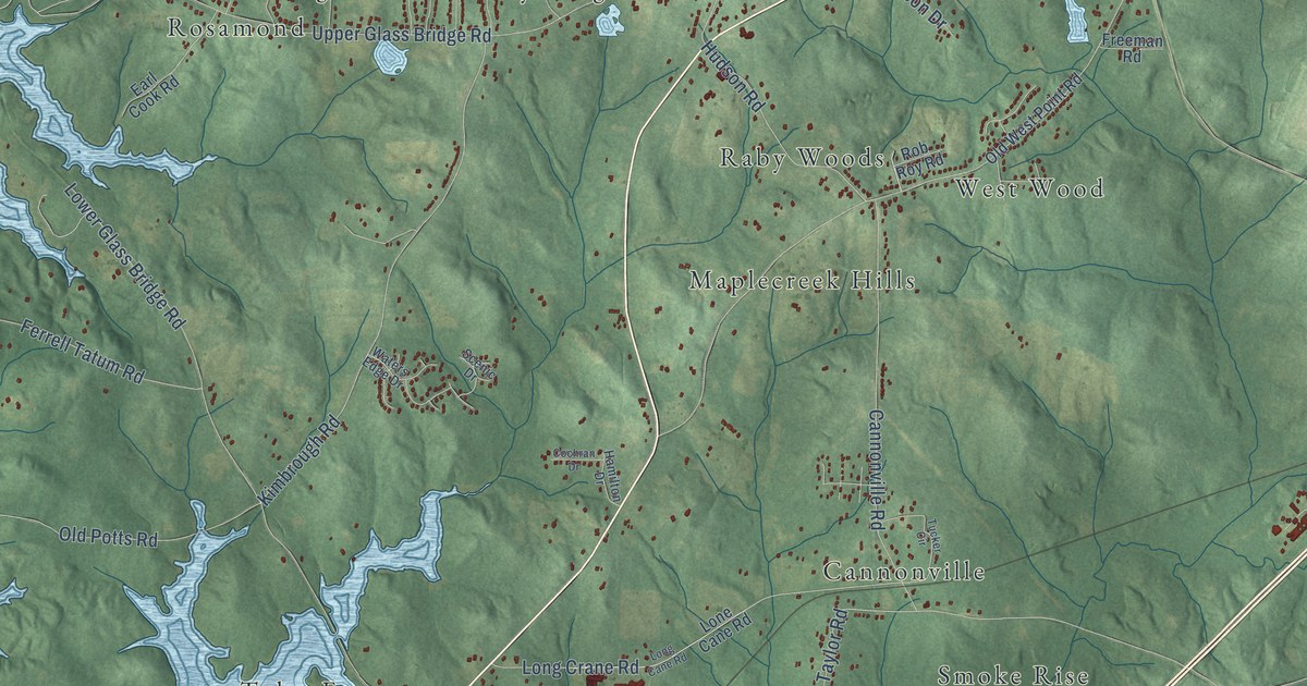 Close-up of streets and buildings in Long Cane, Georgia