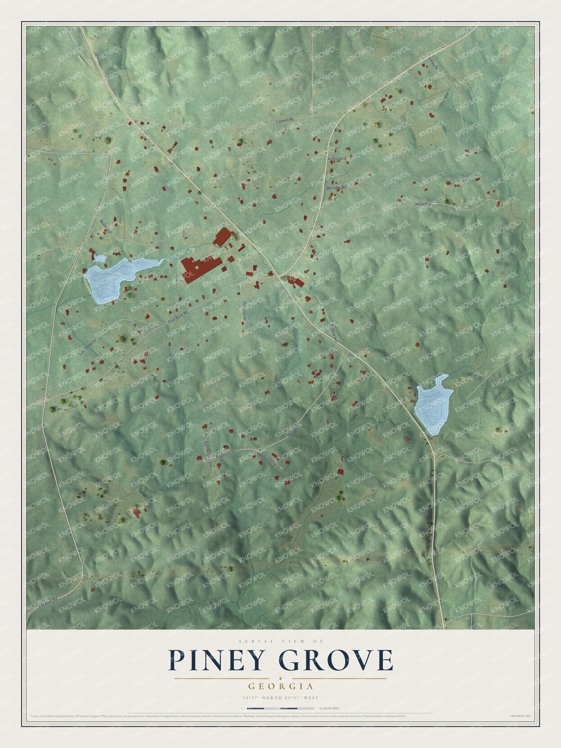 Full map of Piney Grove, Georgia, with red buildings, printed street names and the land around them