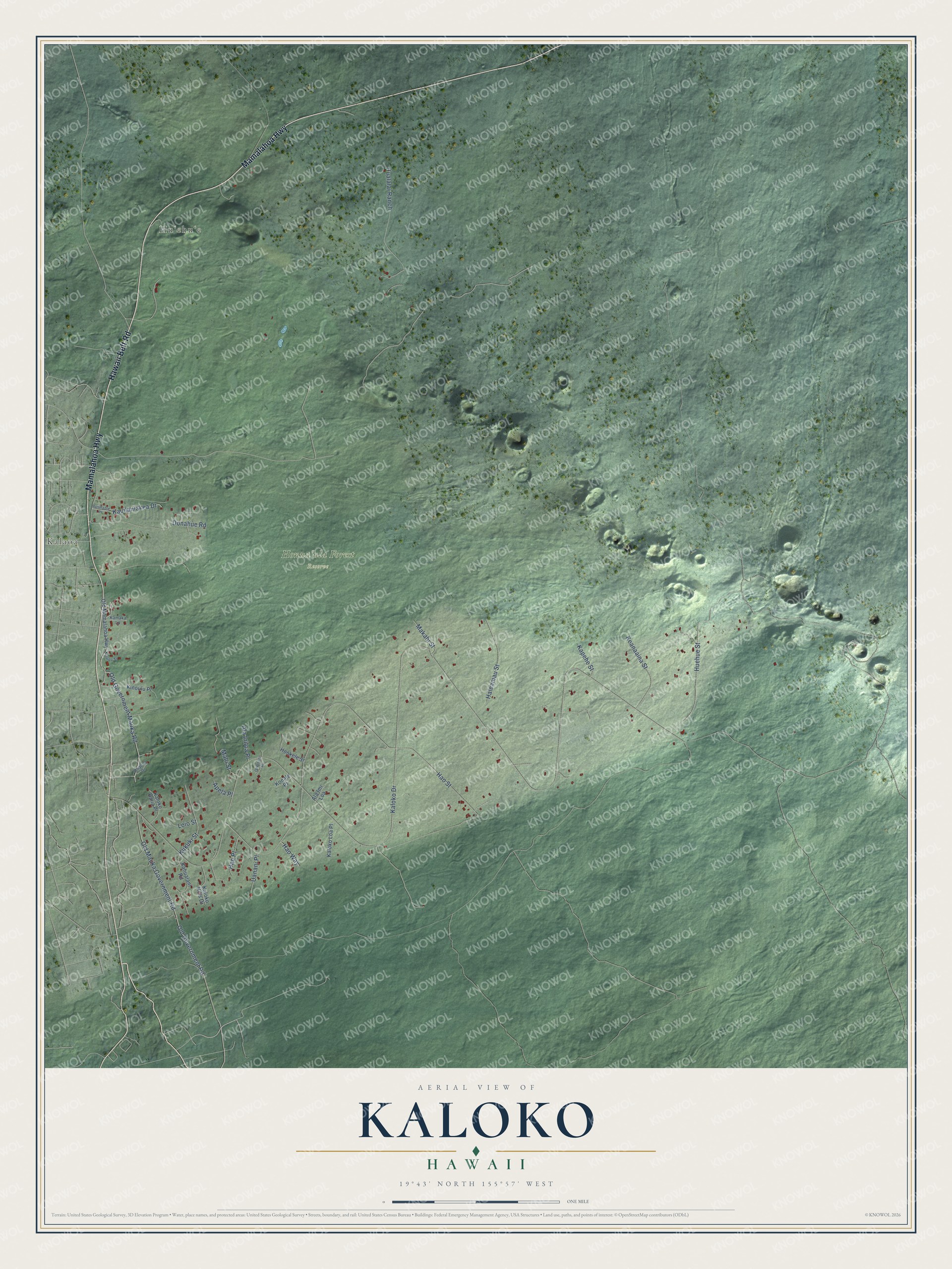 Full map of Kaloko, Hawaii, with red buildings, printed street names and the land around them