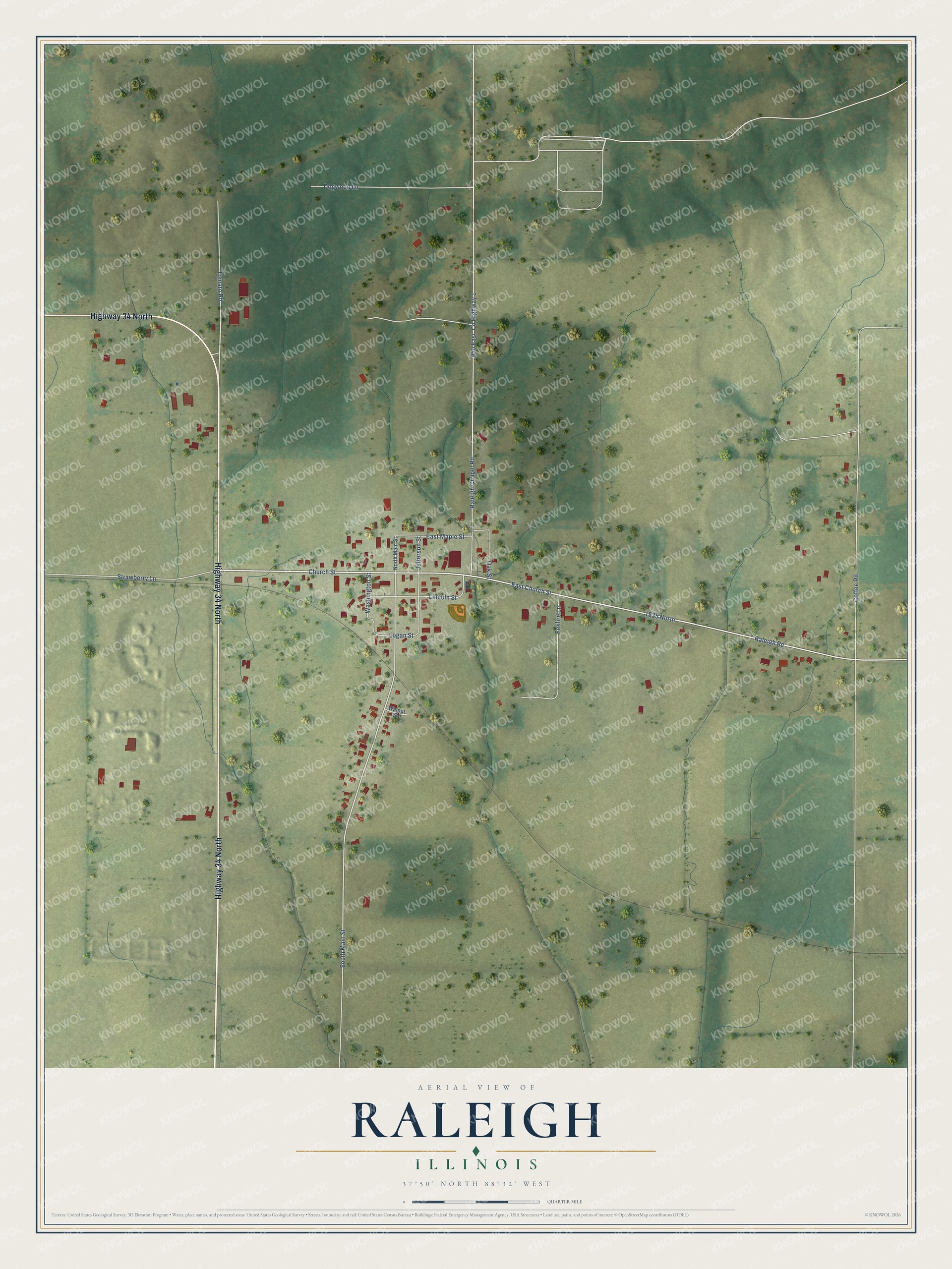 Watermarked full-map preview of Raleigh, Illinois
