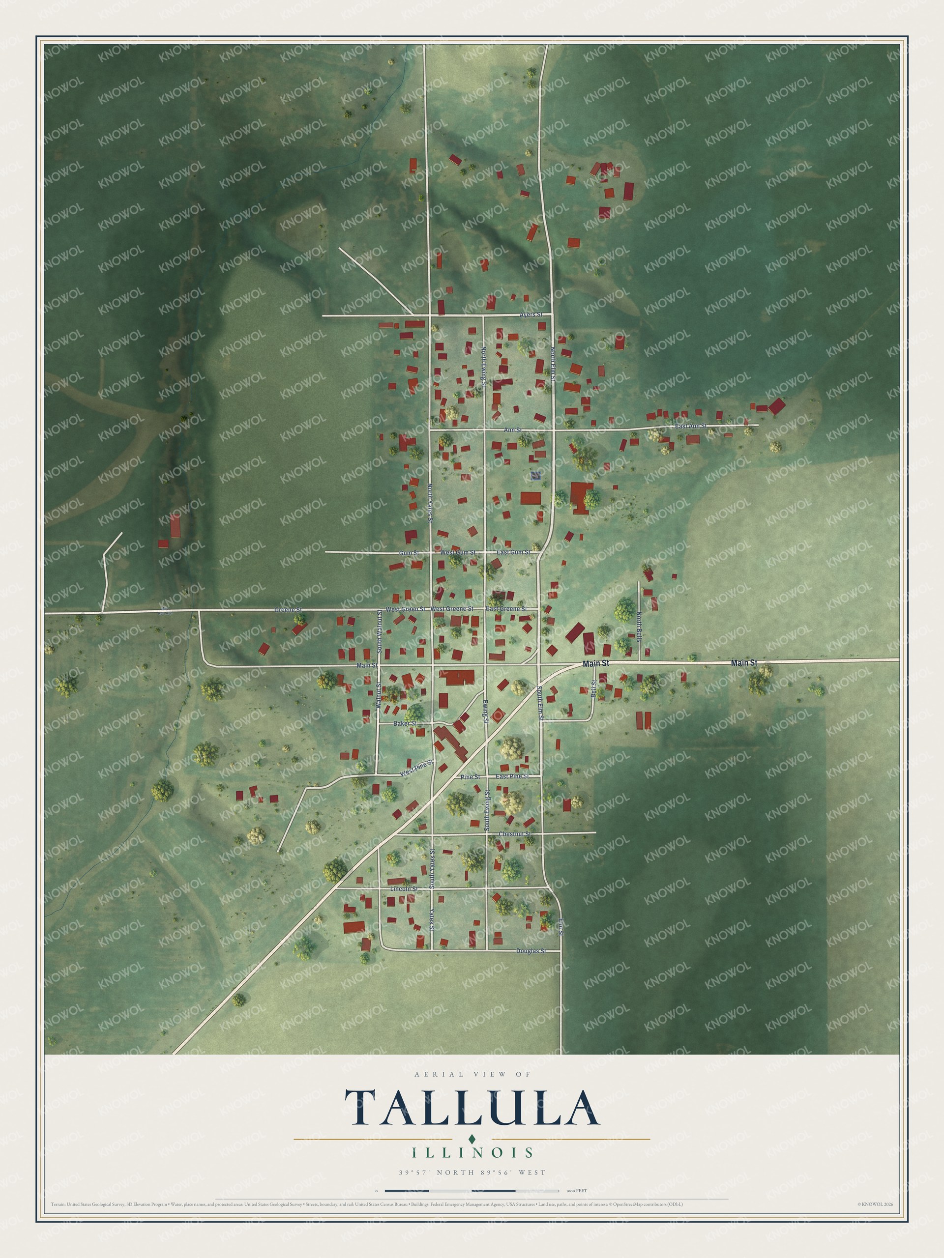 Watermarked full-map preview of Tallula, Illinois