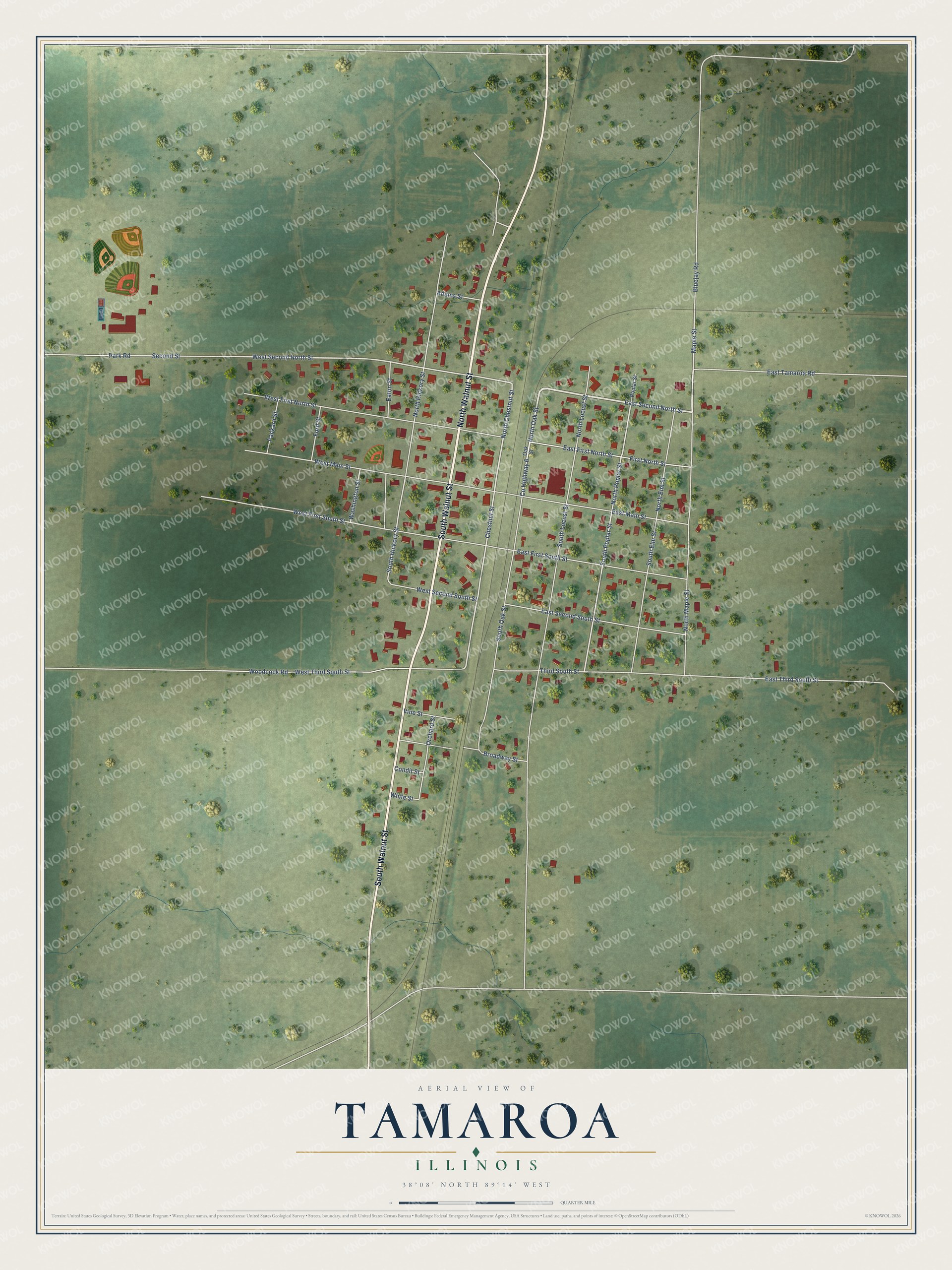 Full map of Tamaroa, Illinois, with red buildings, printed street names and the land around them