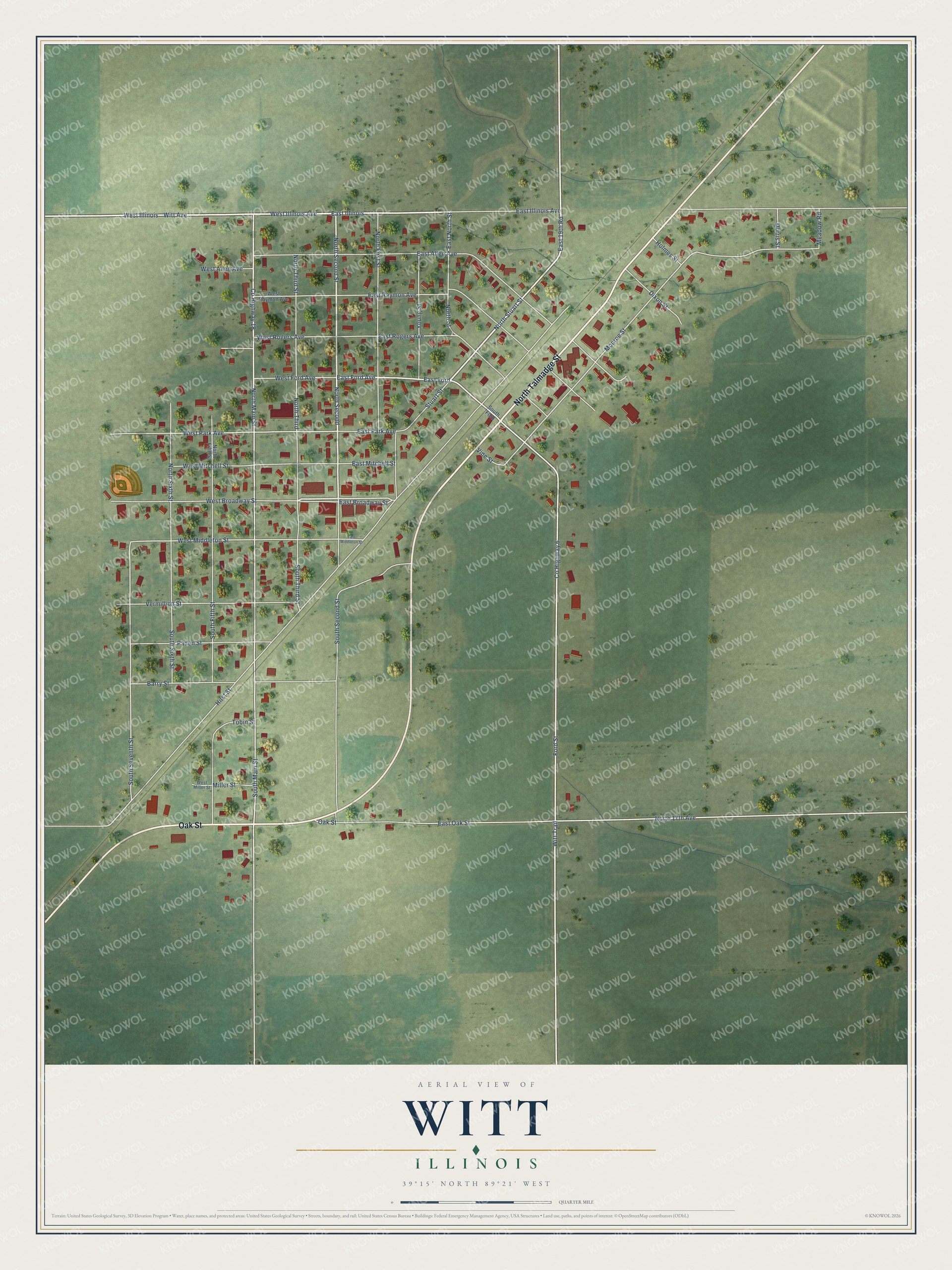 Full map of Witt, Illinois, with red buildings, printed street names and the land around them