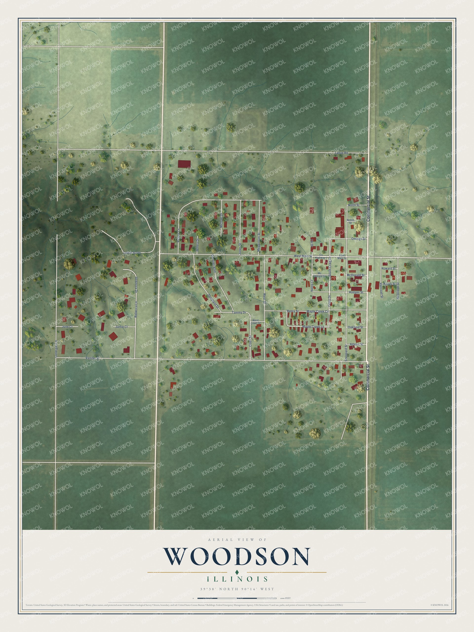 Full map of Woodson, Illinois, with red buildings, printed street names and the land around them
