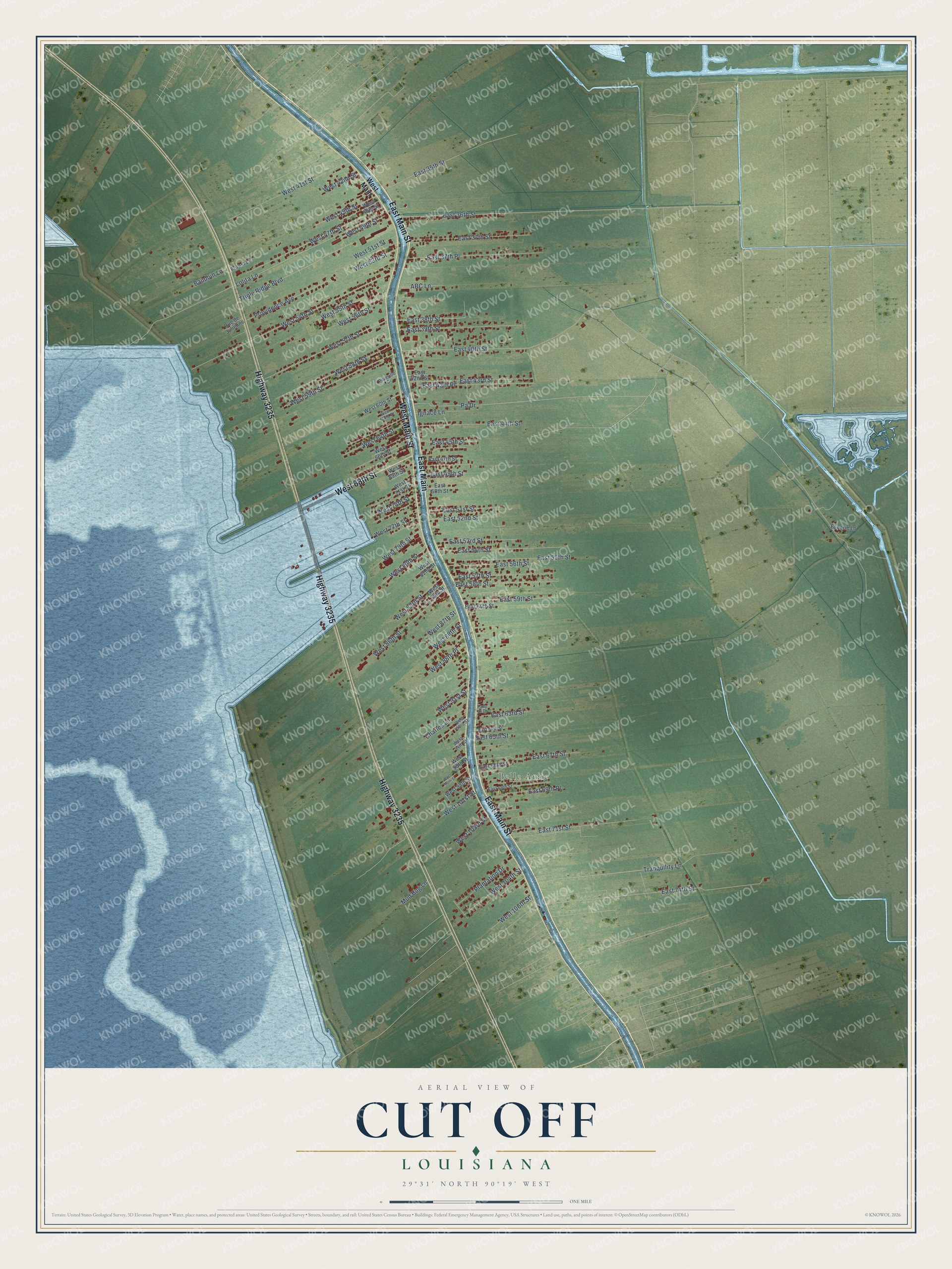 Full map of Cut Off, Louisiana, with red buildings, printed street names and the land around them