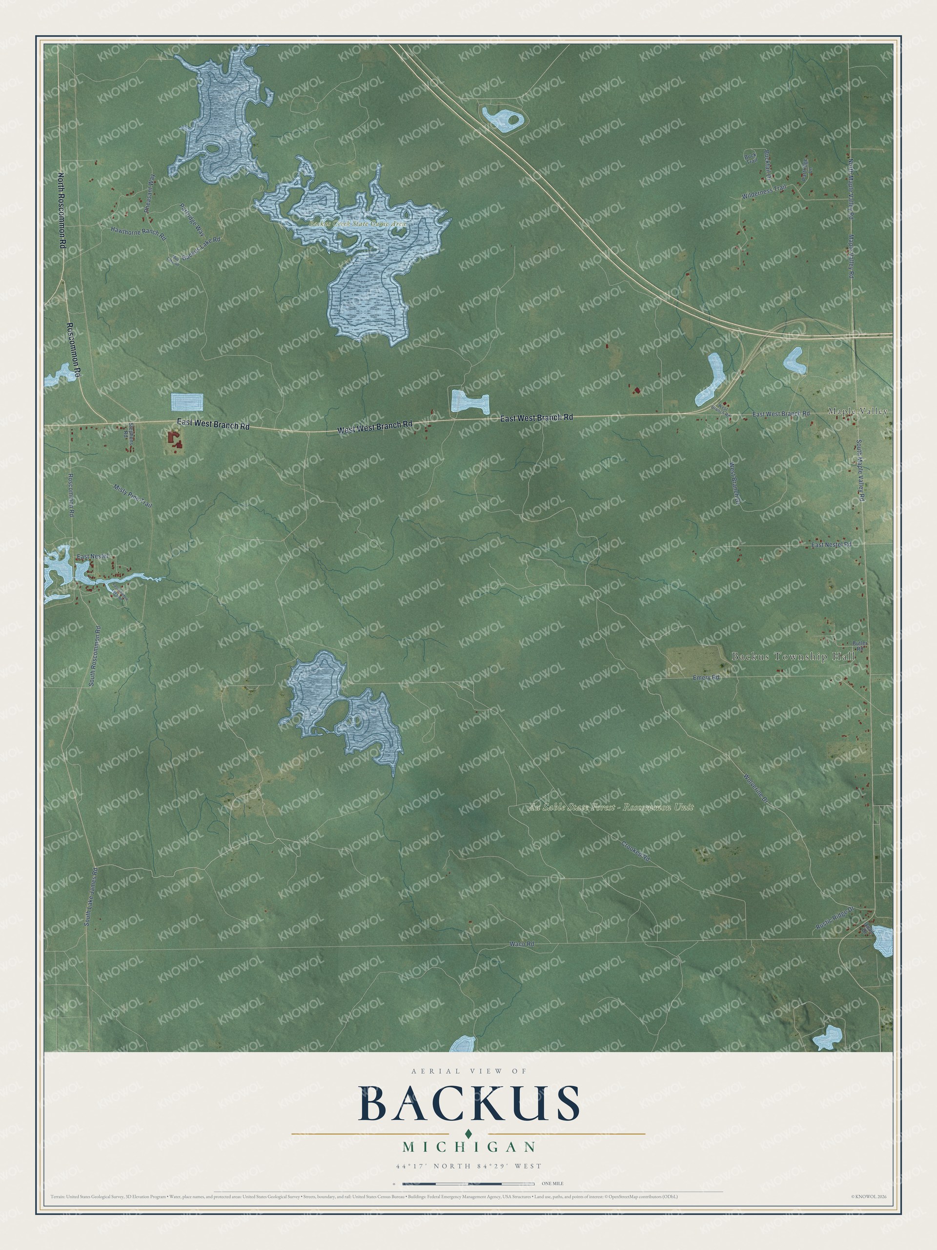 Full map of Backus, Michigan, with red buildings, printed street names and the land around them