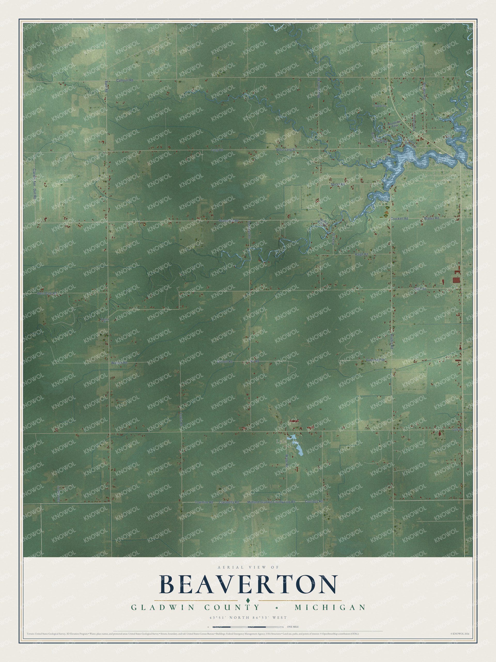 Full map of Beaverton, Michigan, with red buildings, printed street names and the land around them