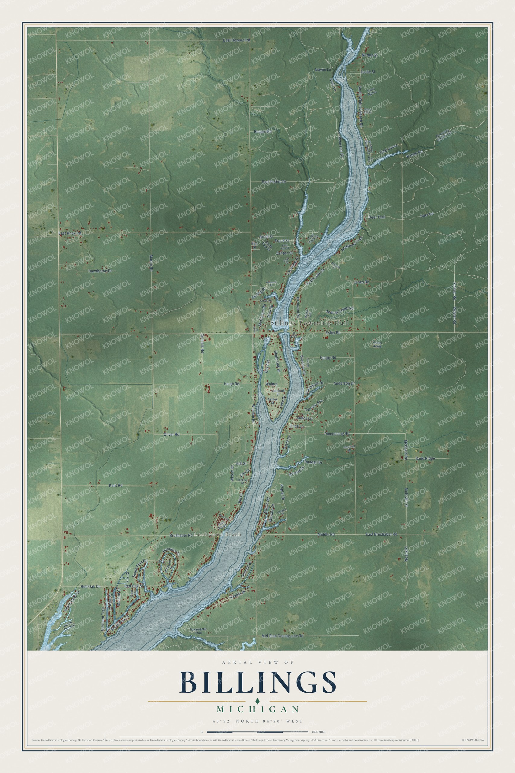 Full map of Billings, Michigan, with red buildings, printed street names and the land around them