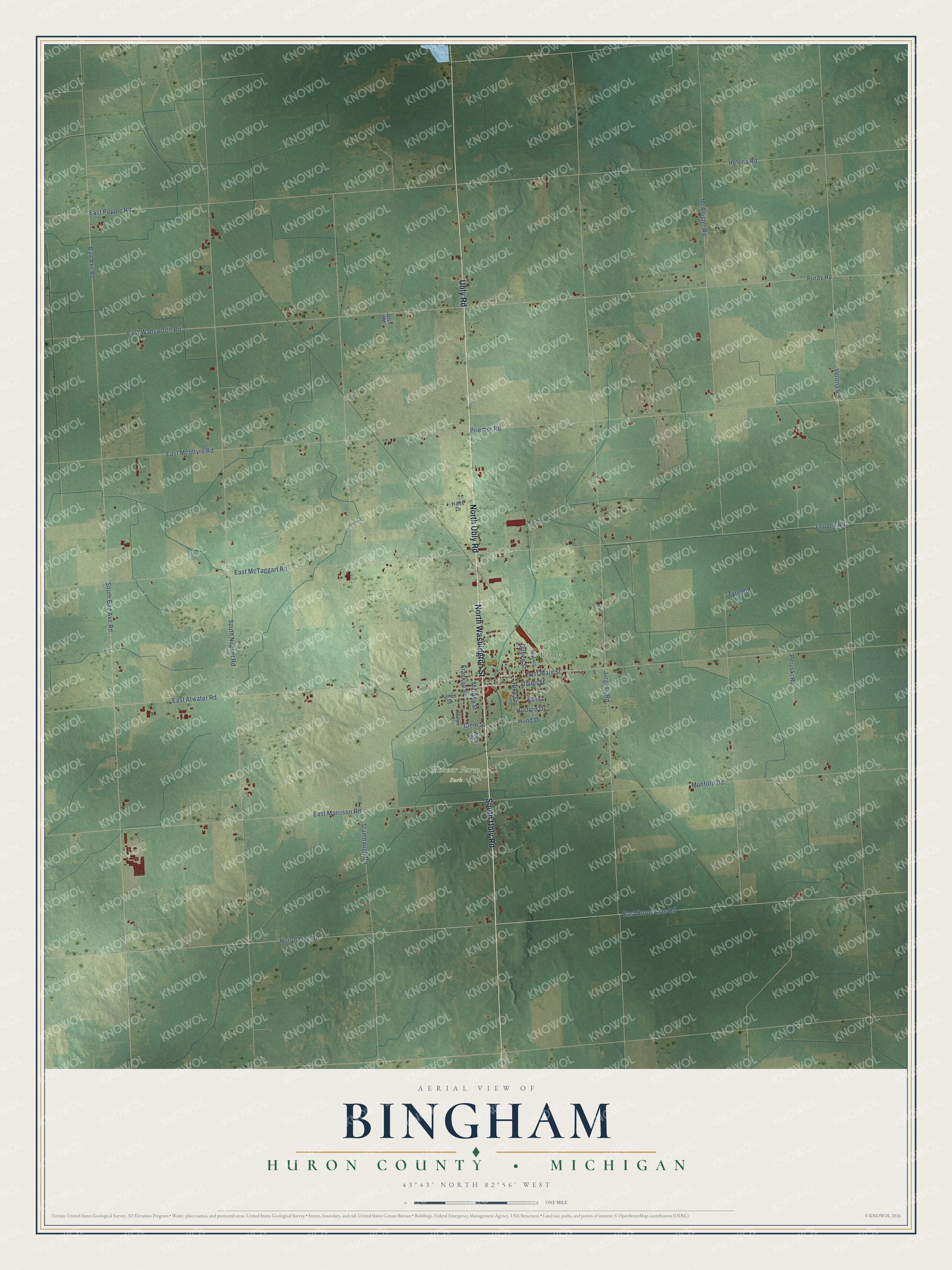 Full map of Bingham, Michigan, with red buildings, printed street names and the land around them