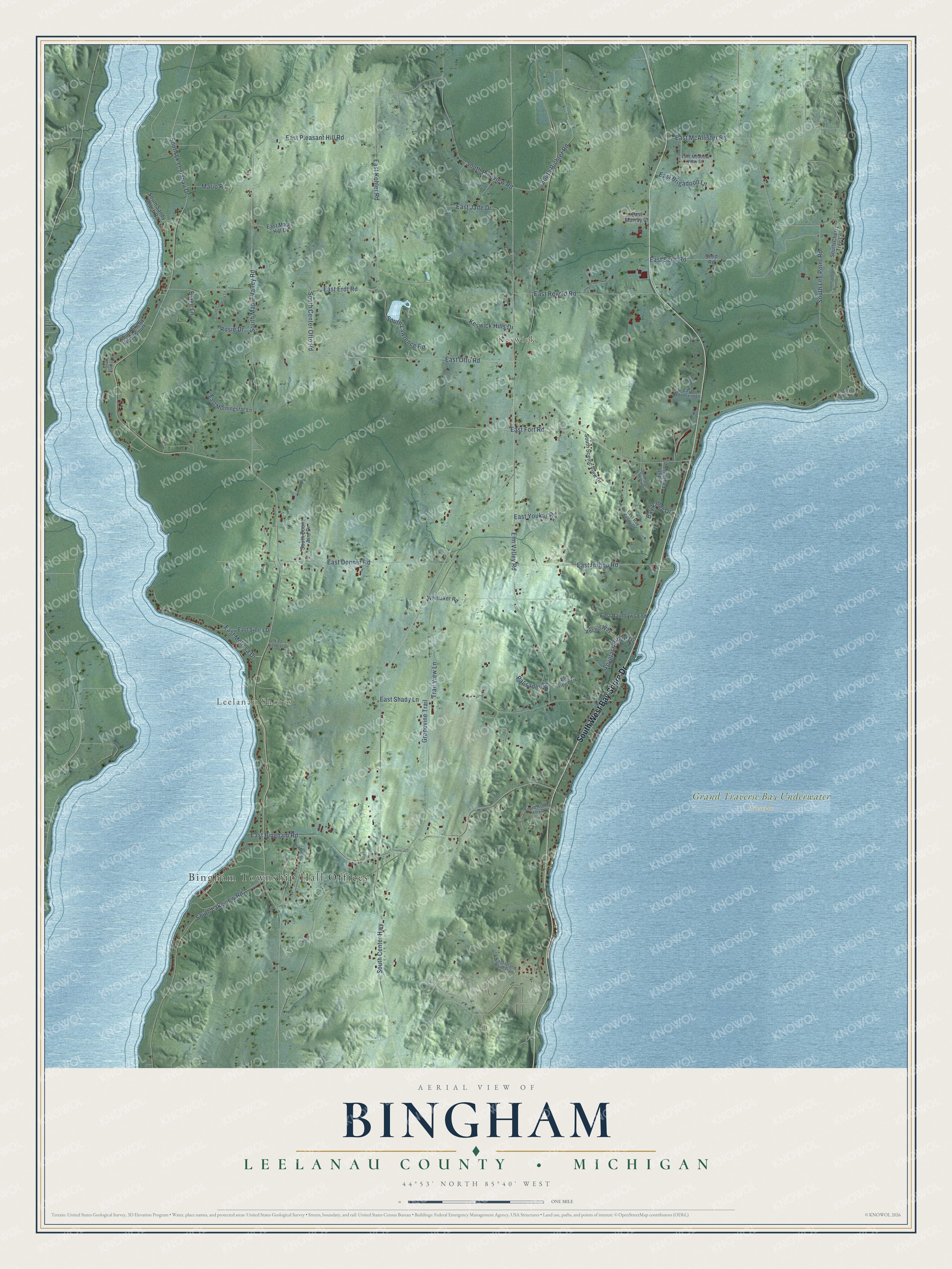 Full map of Bingham, Michigan, with red buildings, printed street names and the land around them