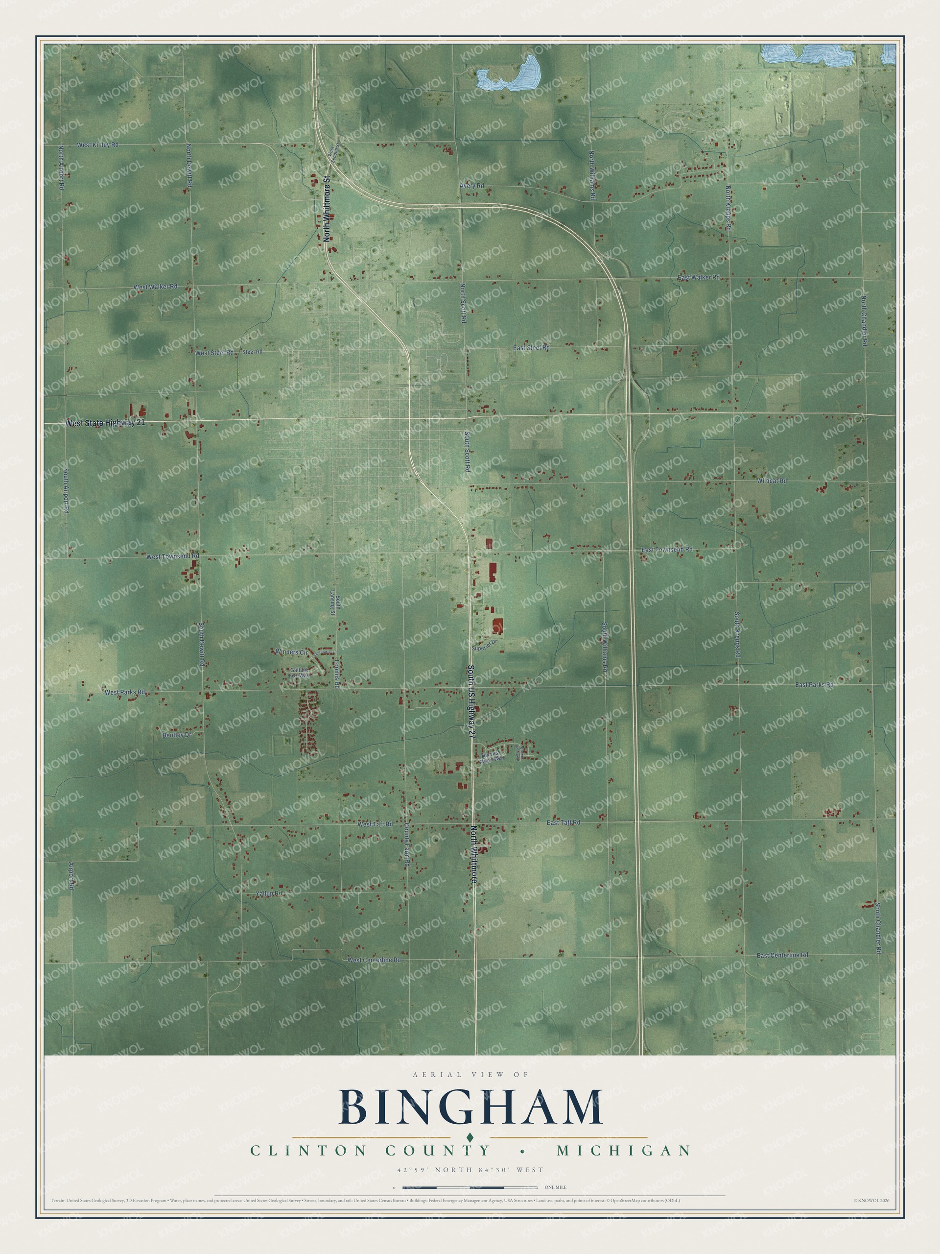 Full map of Bingham, Michigan, with red buildings, printed street names and the land around them