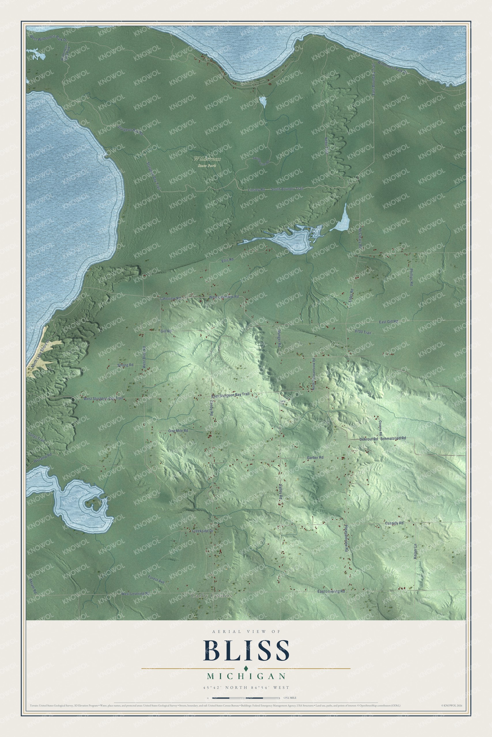 Full map of Bliss, Michigan, with red buildings, printed street names and the land around them