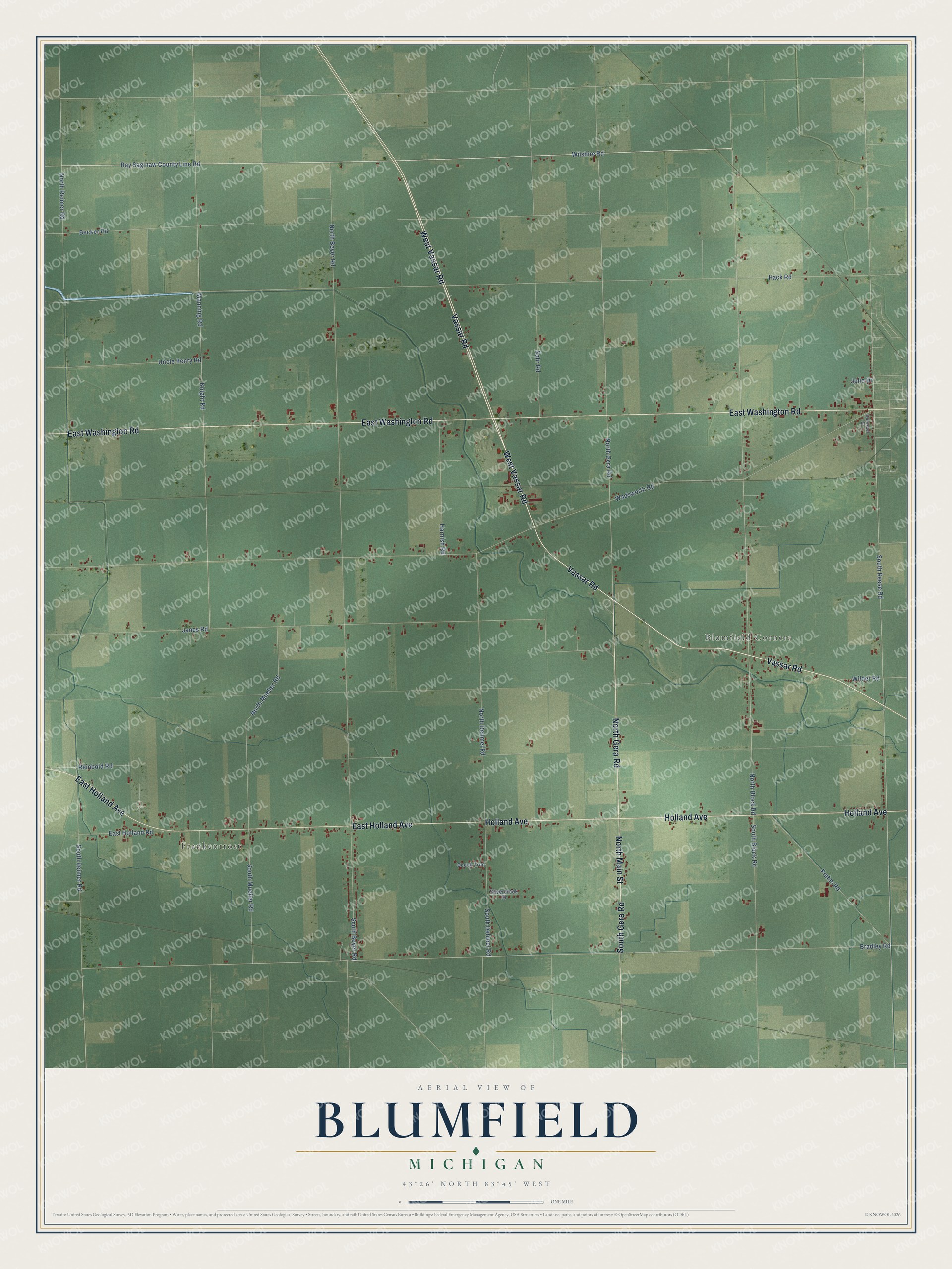 Full map of Blumfield, Michigan, with red buildings, printed street names and the land around them