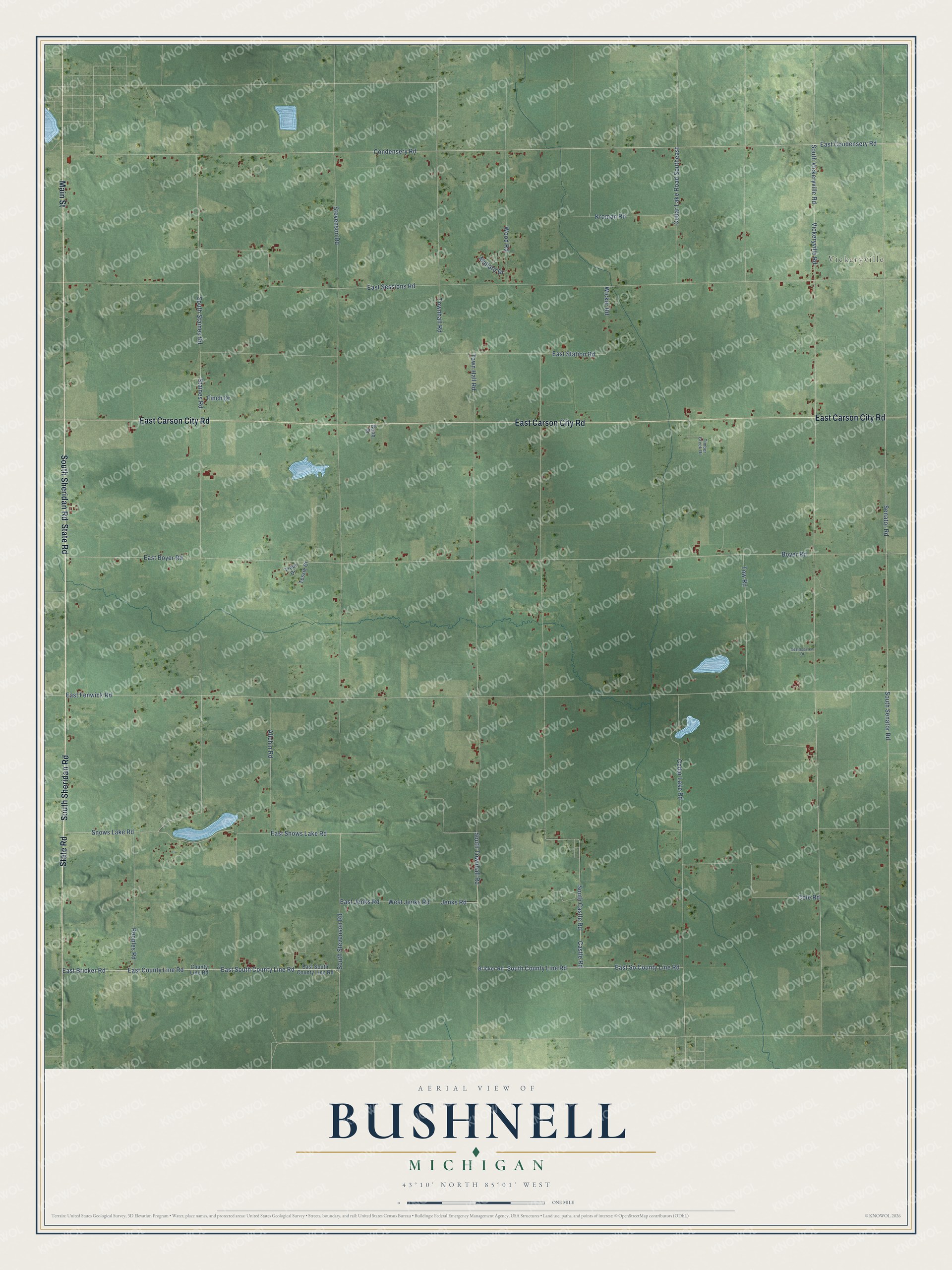 Full map of Bushnell, Michigan, with red buildings, printed street names and the land around them