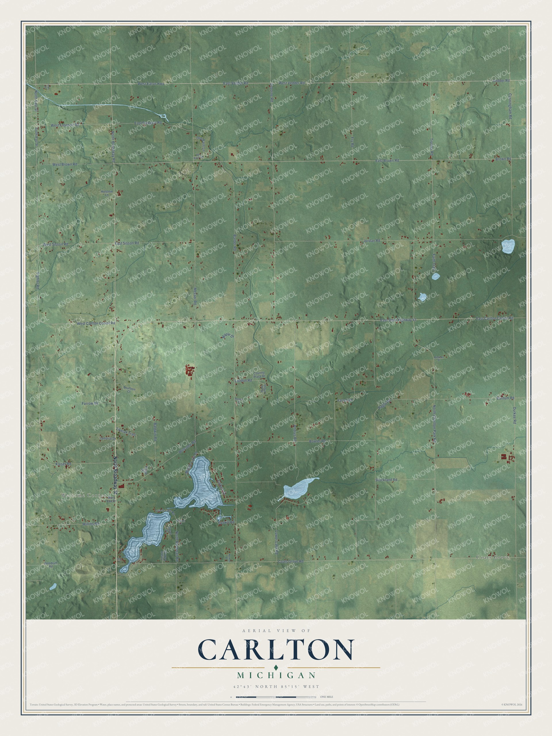 Full map of Carlton, Michigan, with red buildings, printed street names and the land around them