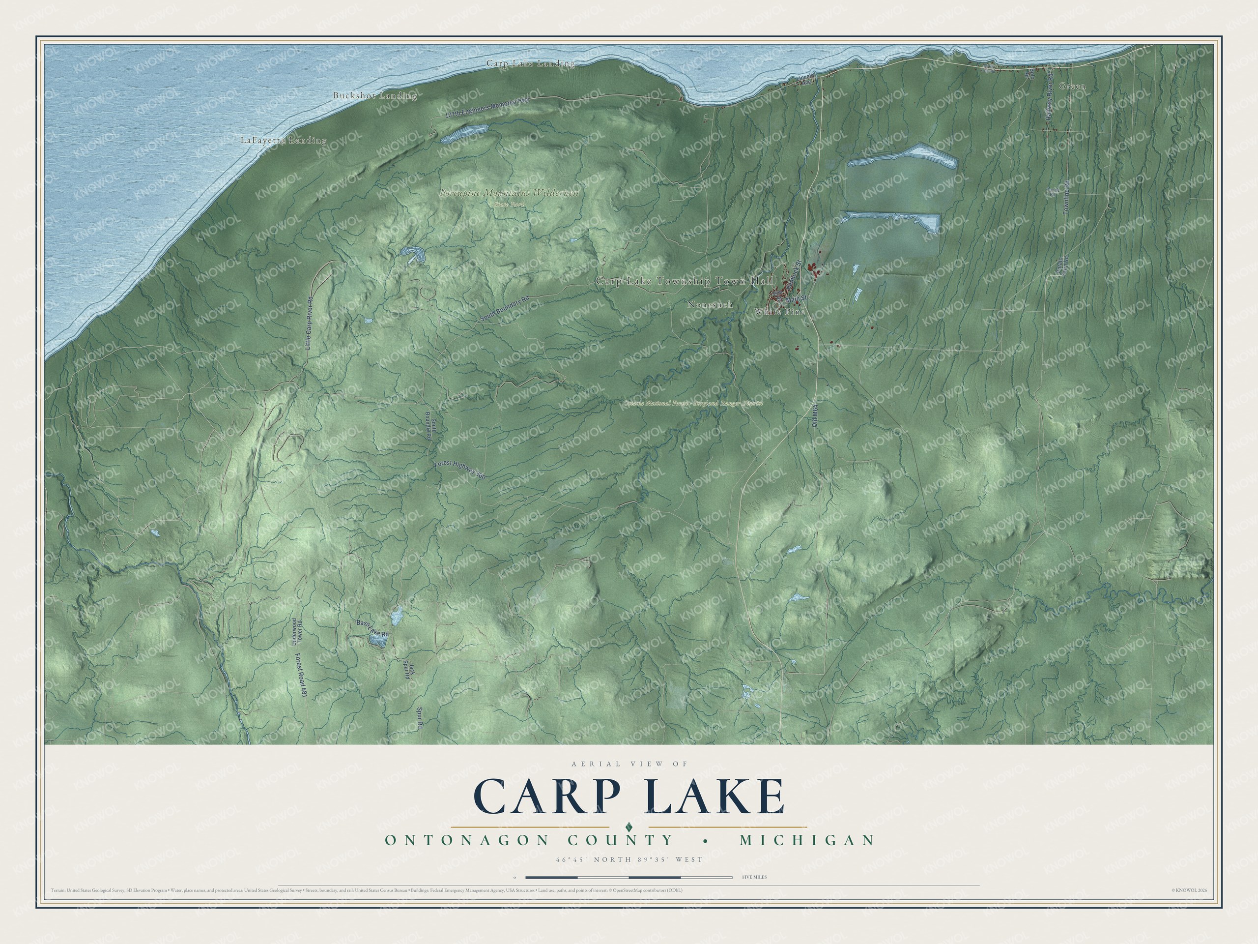 Full map of Carp Lake, Michigan, with red buildings, printed street names and the land around them