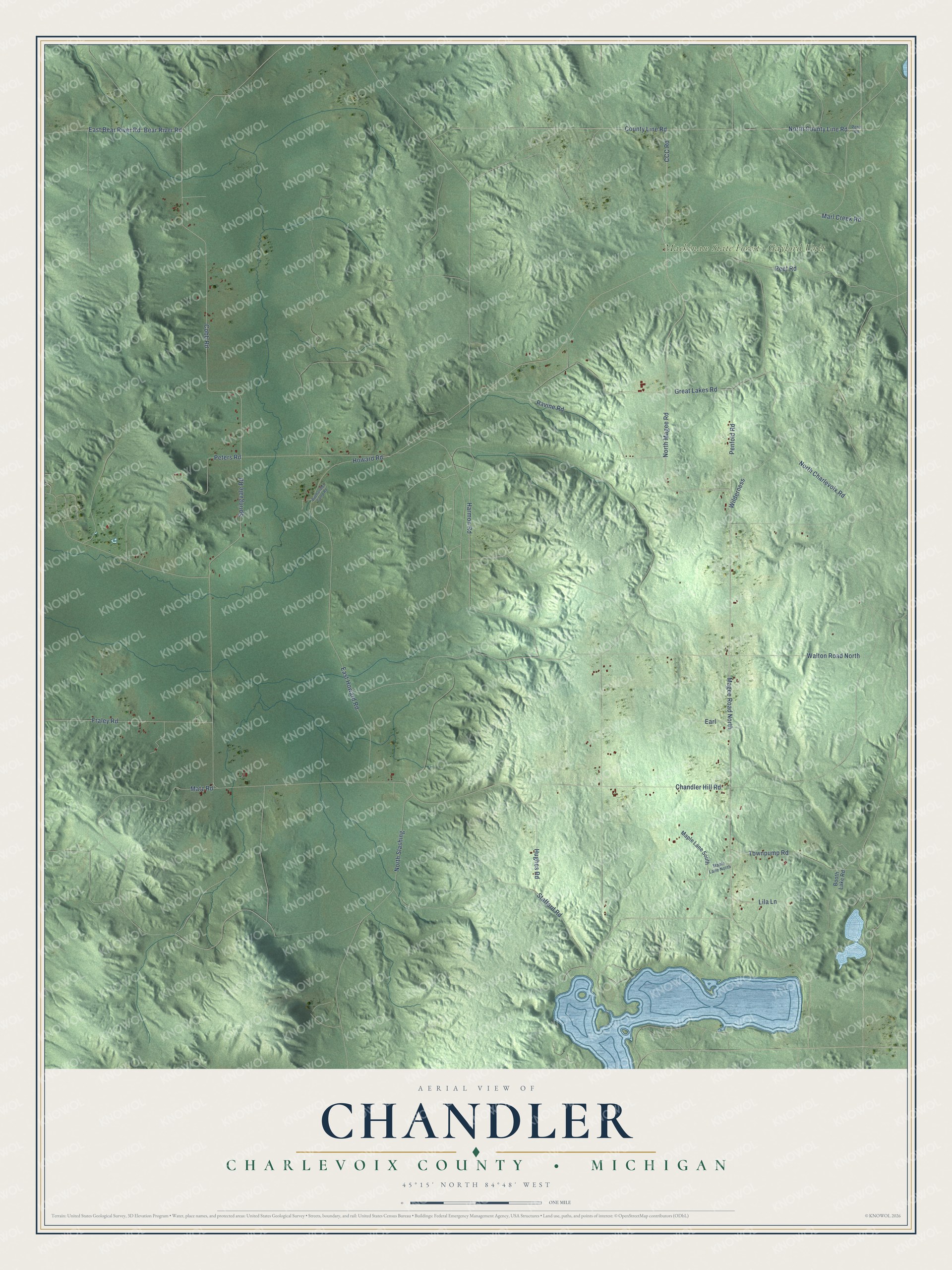 Full map of Chandler, Michigan, with red buildings, printed street names and the land around them