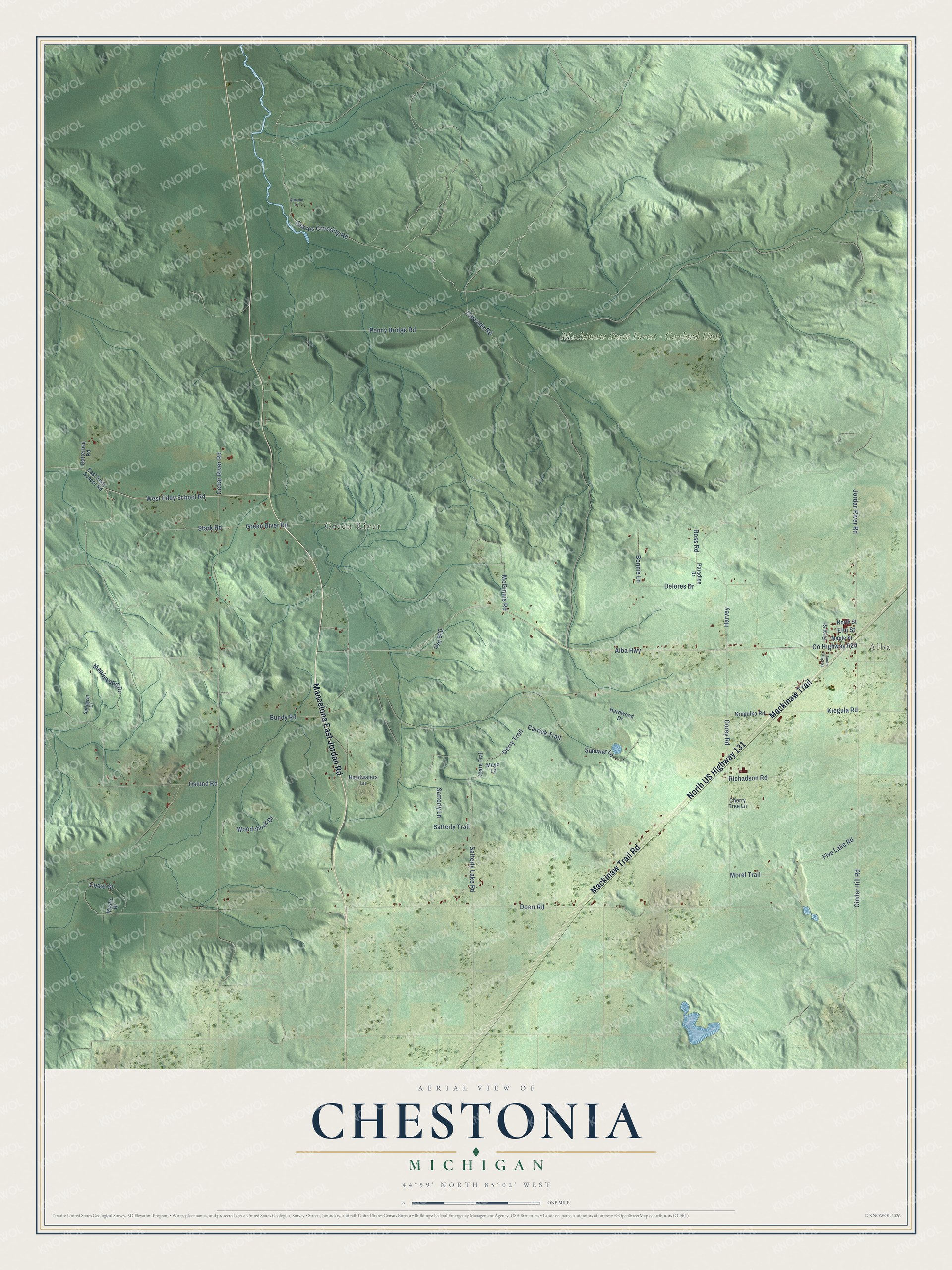 Full map of Chestonia, Michigan, with red buildings, printed street names and the land around them