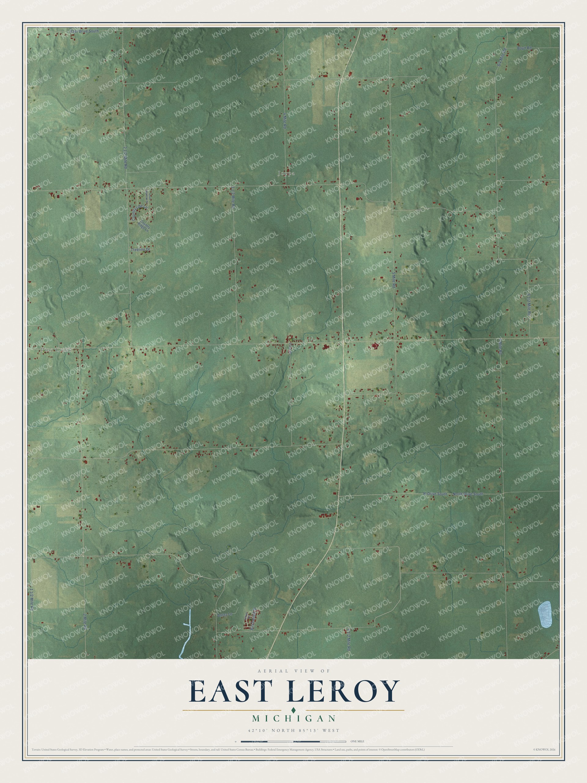 Full map of East Leroy, Michigan, with red buildings, printed street names and the land around them