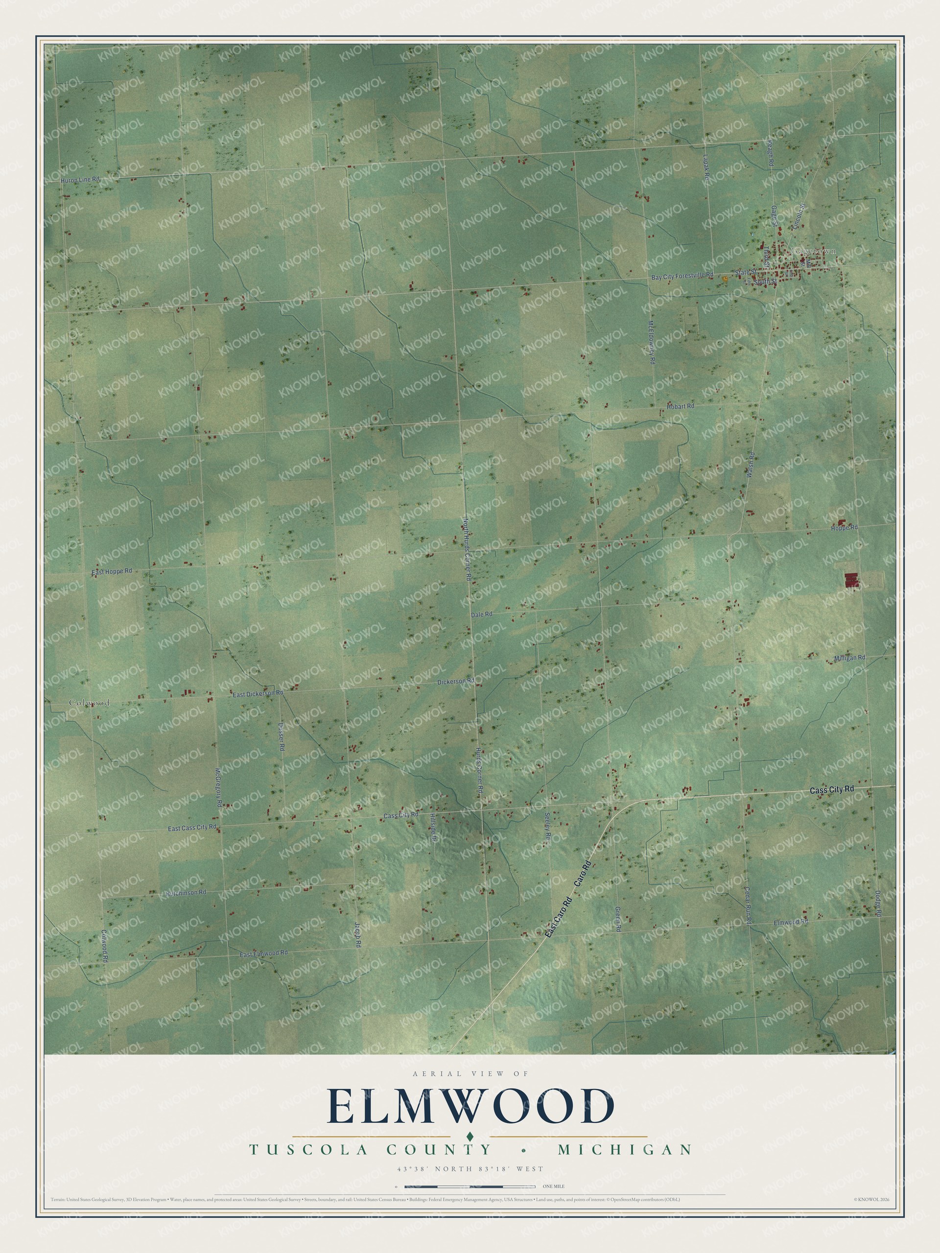 Full map of Elmwood, Michigan, with red buildings, printed street names and the land around them