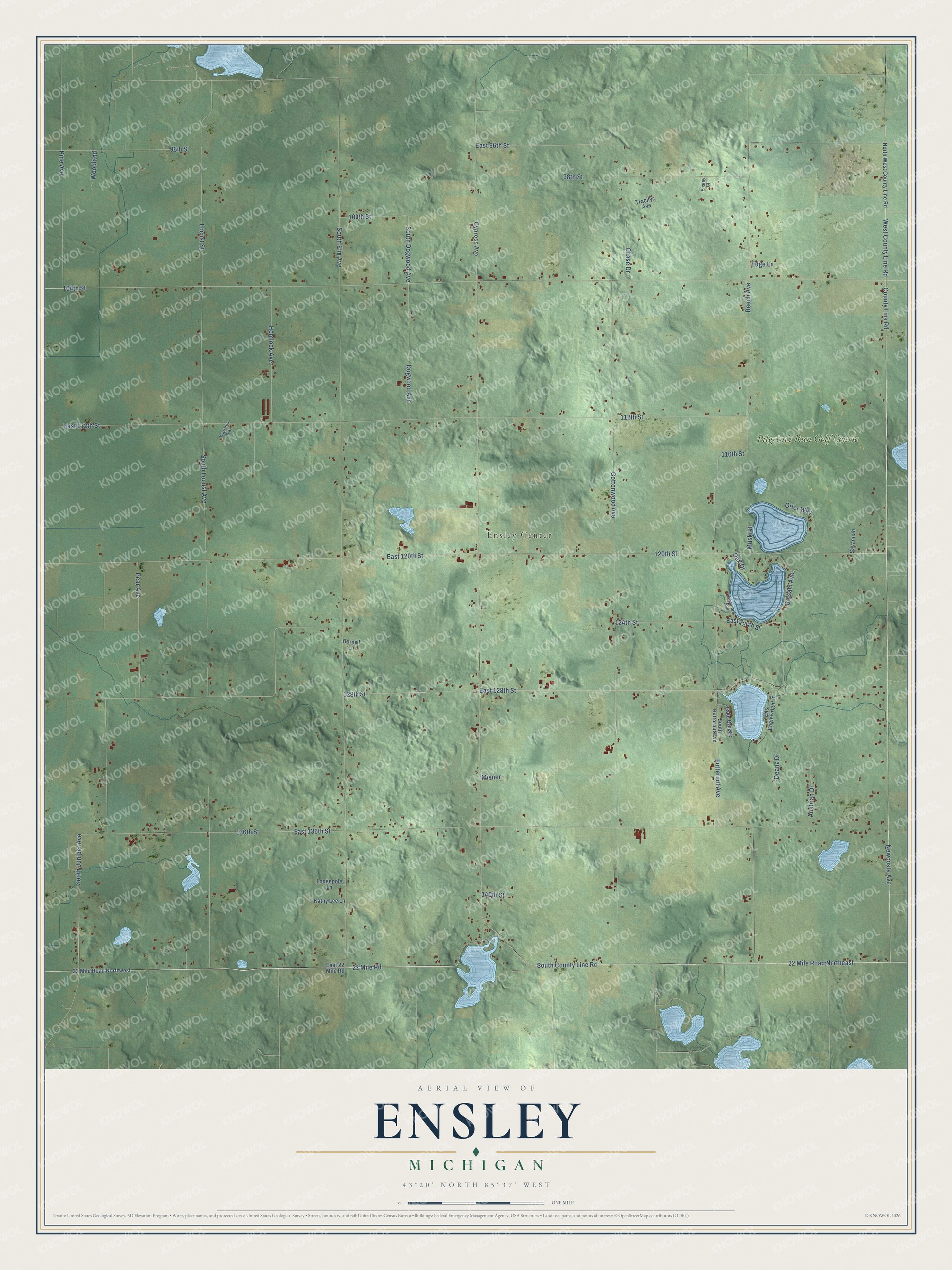 Full map of Ensley, Michigan, with red buildings, printed street names and the land around them