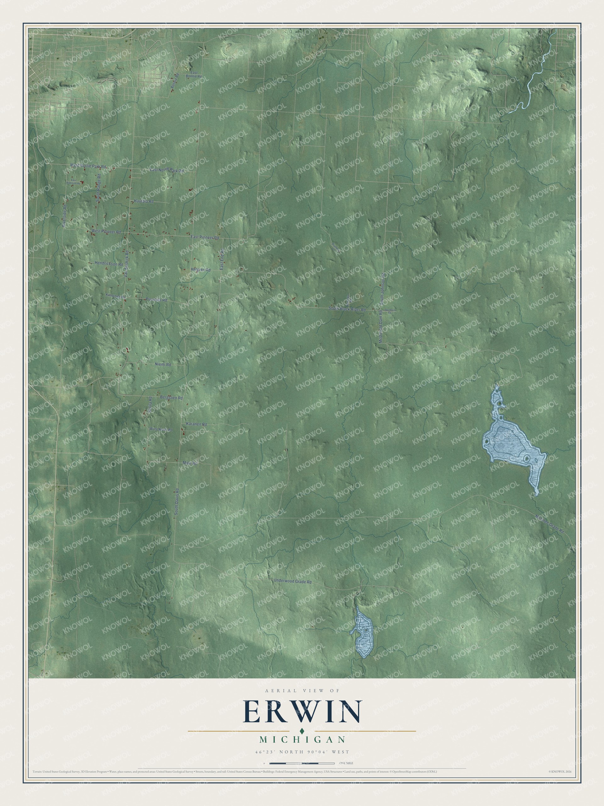 Full map of Erwin, Michigan, with red buildings, printed street names and the land around them