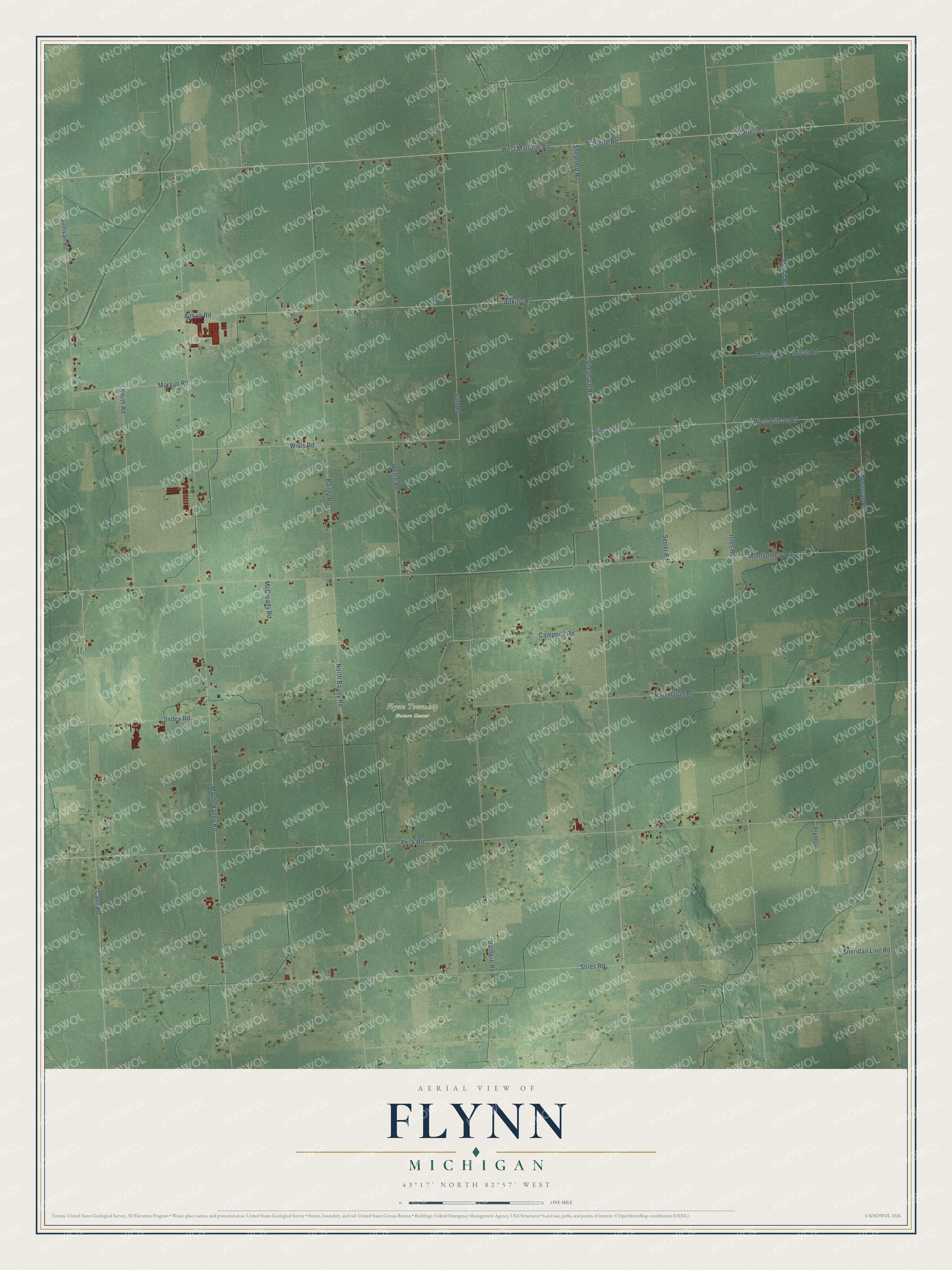 Full map of Flynn, Michigan, with red buildings, printed street names and the land around them