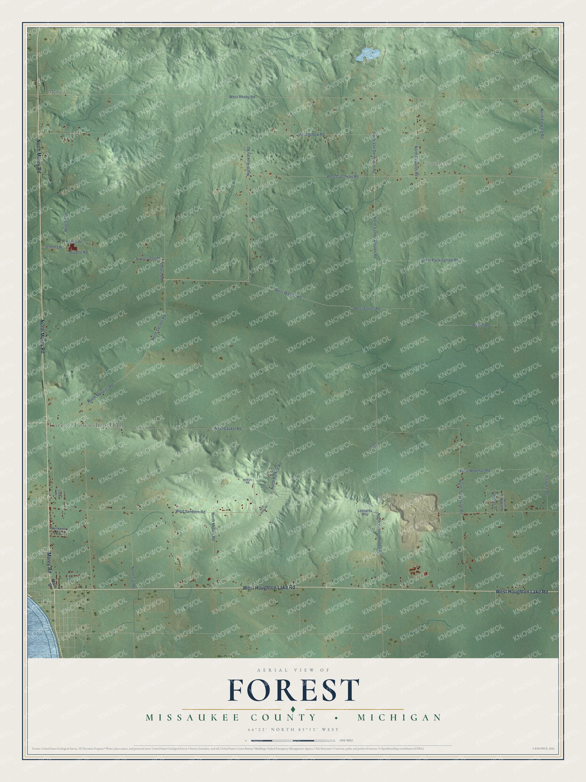 Full map of Forest, Michigan, with red buildings, printed street names and the land around them