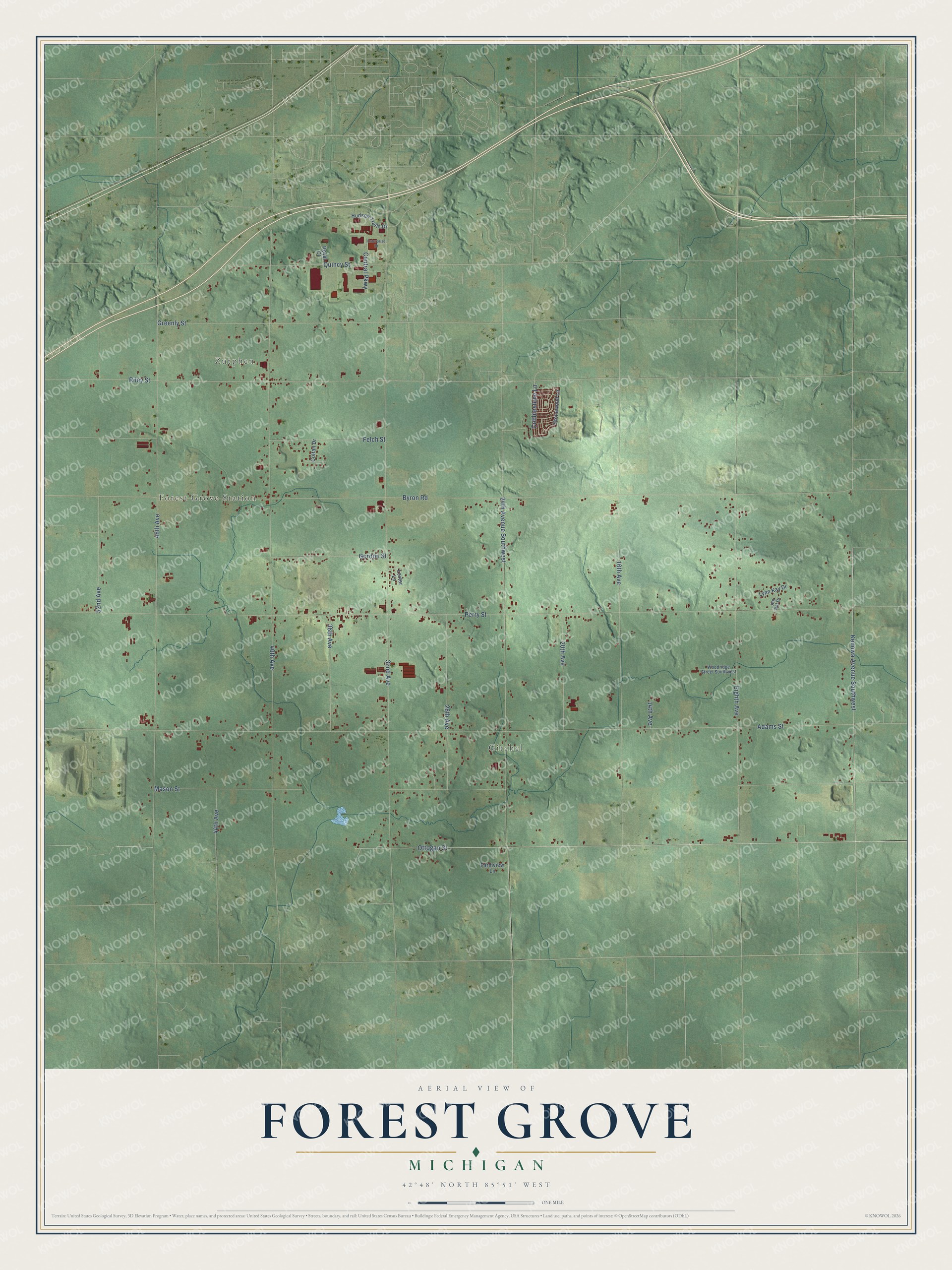 Full map of Forest Grove, Michigan, with red buildings, printed street names and the land around them